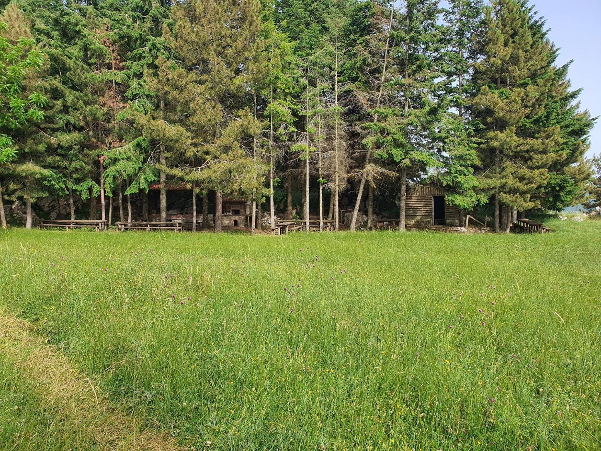 Photo 20