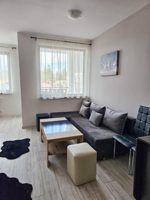 Boutique Studio B37