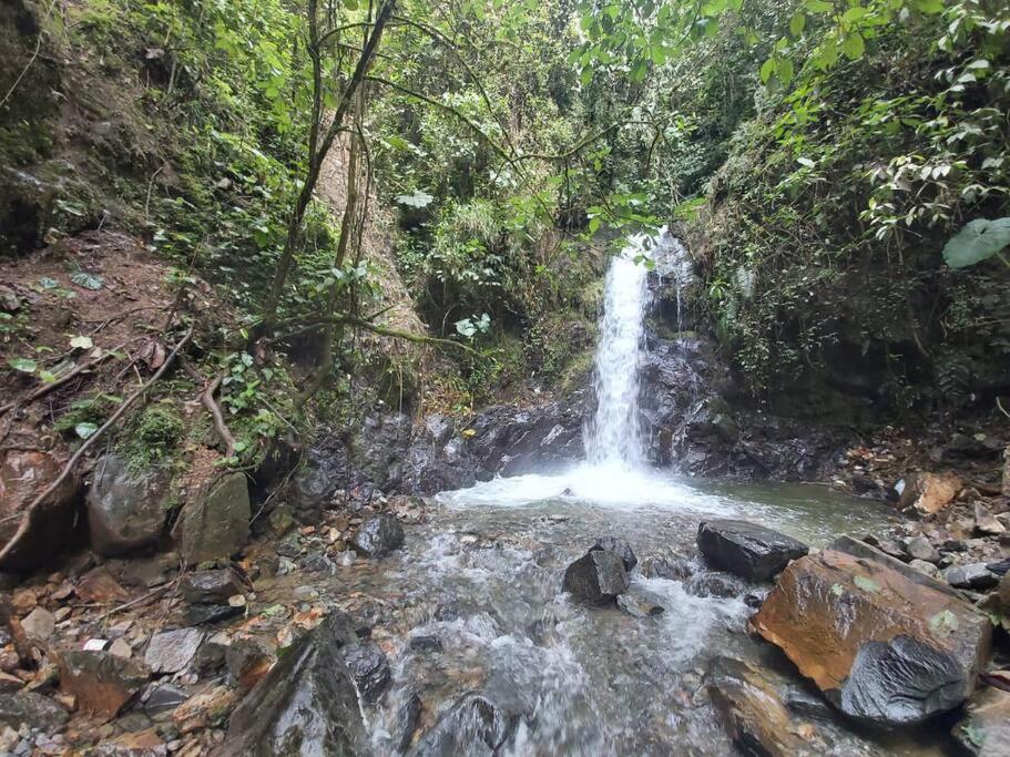 Wifi, 20 personas, chimenea, cascadas, naturaleza