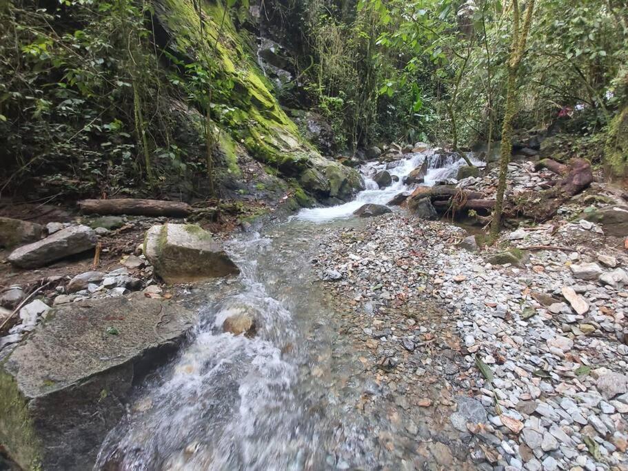 Wifi, 20 personas, chimenea, cascadas, naturaleza