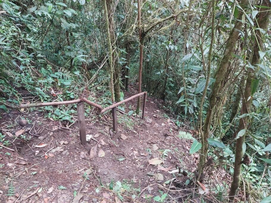 Wifi, 20 personas, chimenea, cascadas, naturaleza