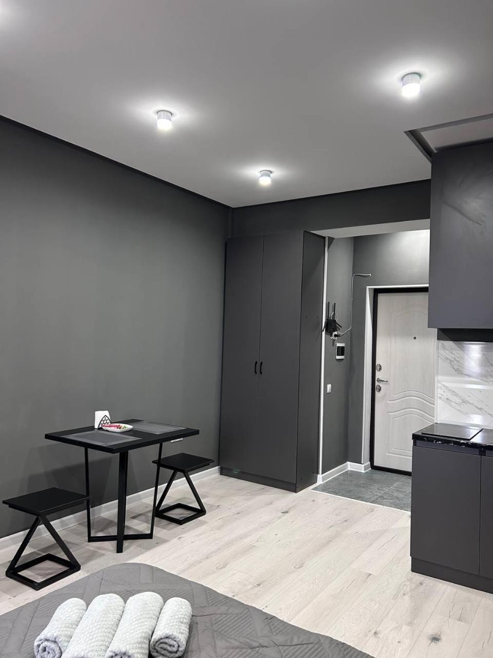 Gray studio apartment 249А view 2