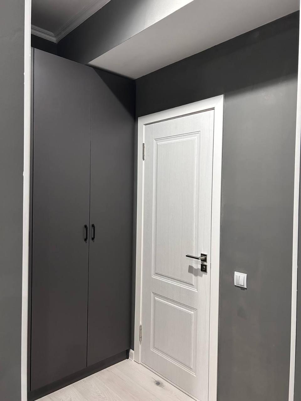 Gray studio apartment 249А view 4