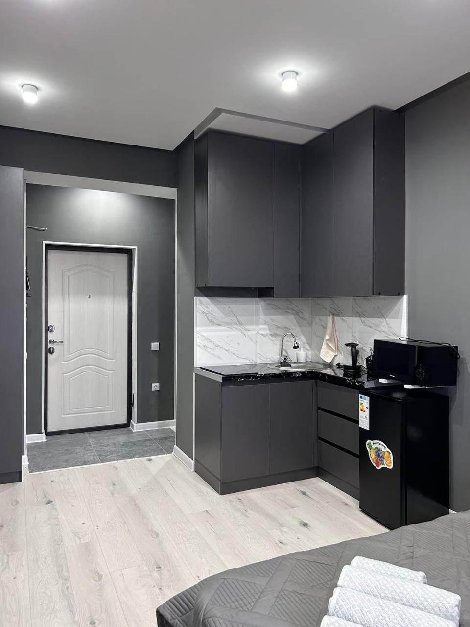 Gray studio apartment 249А view 3