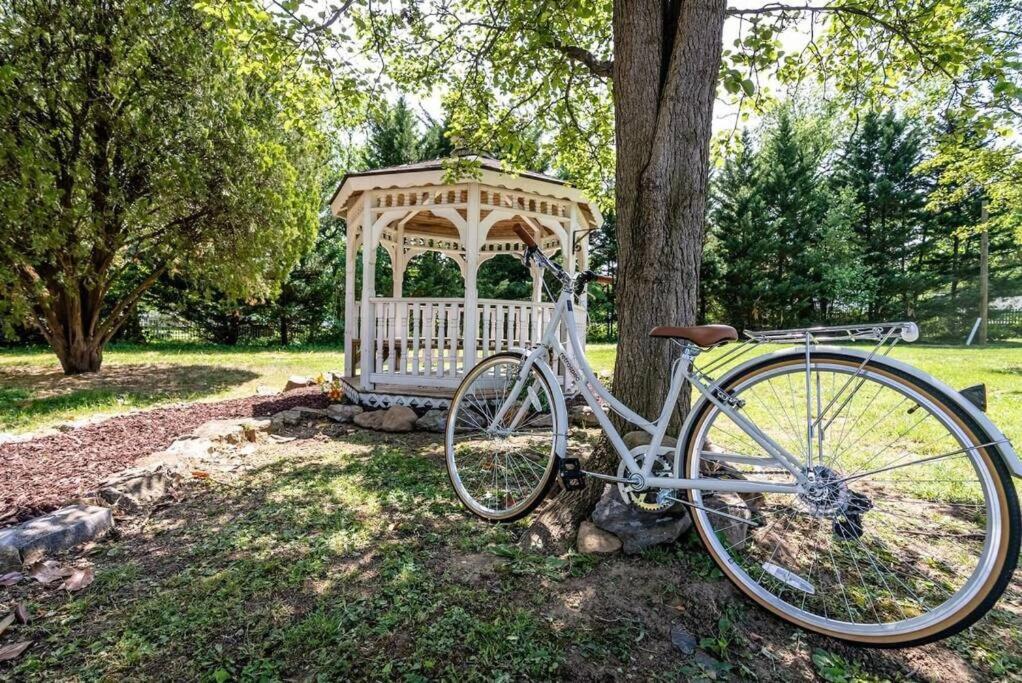 Photo 148