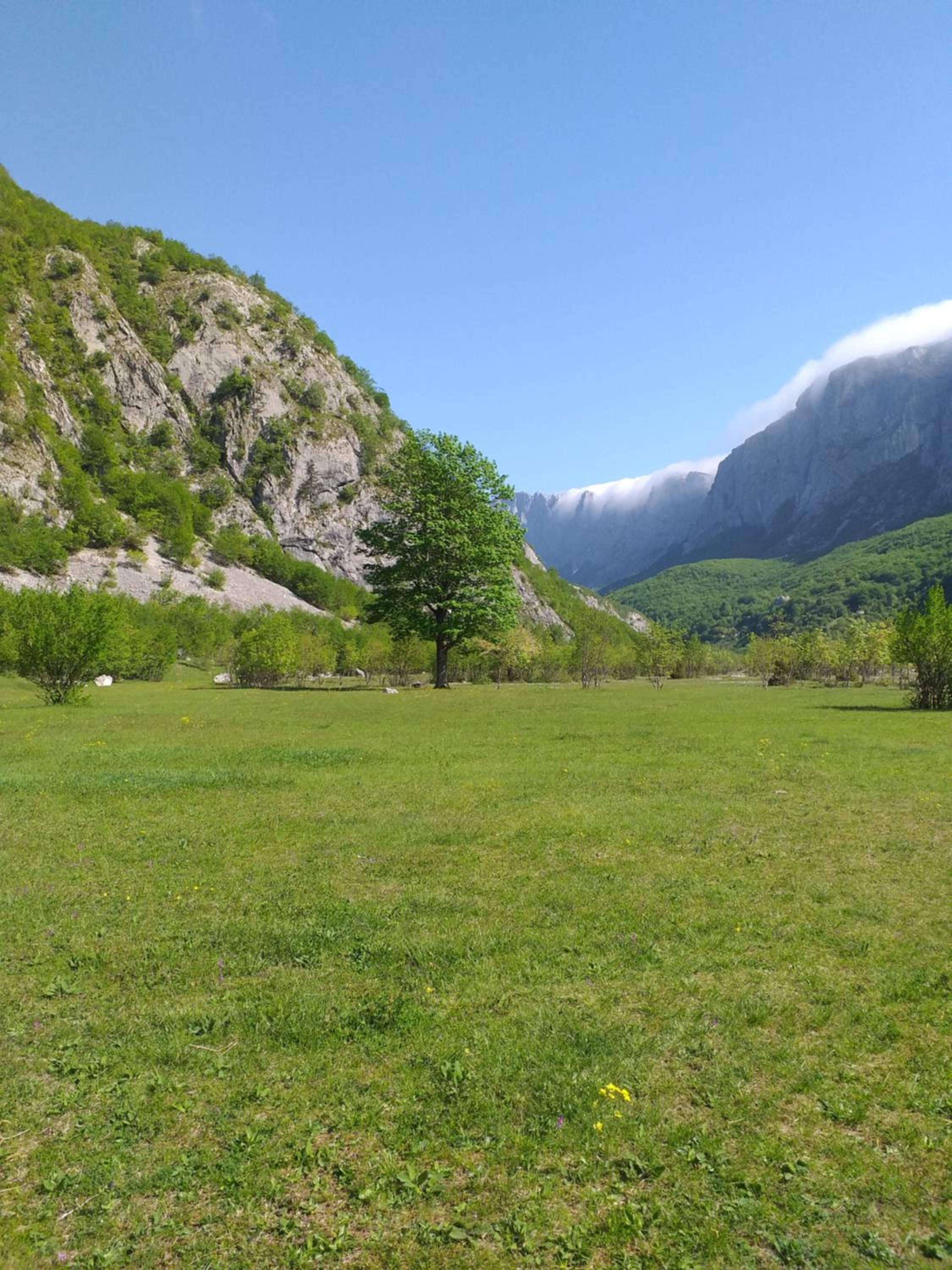 Apartman Kurjak