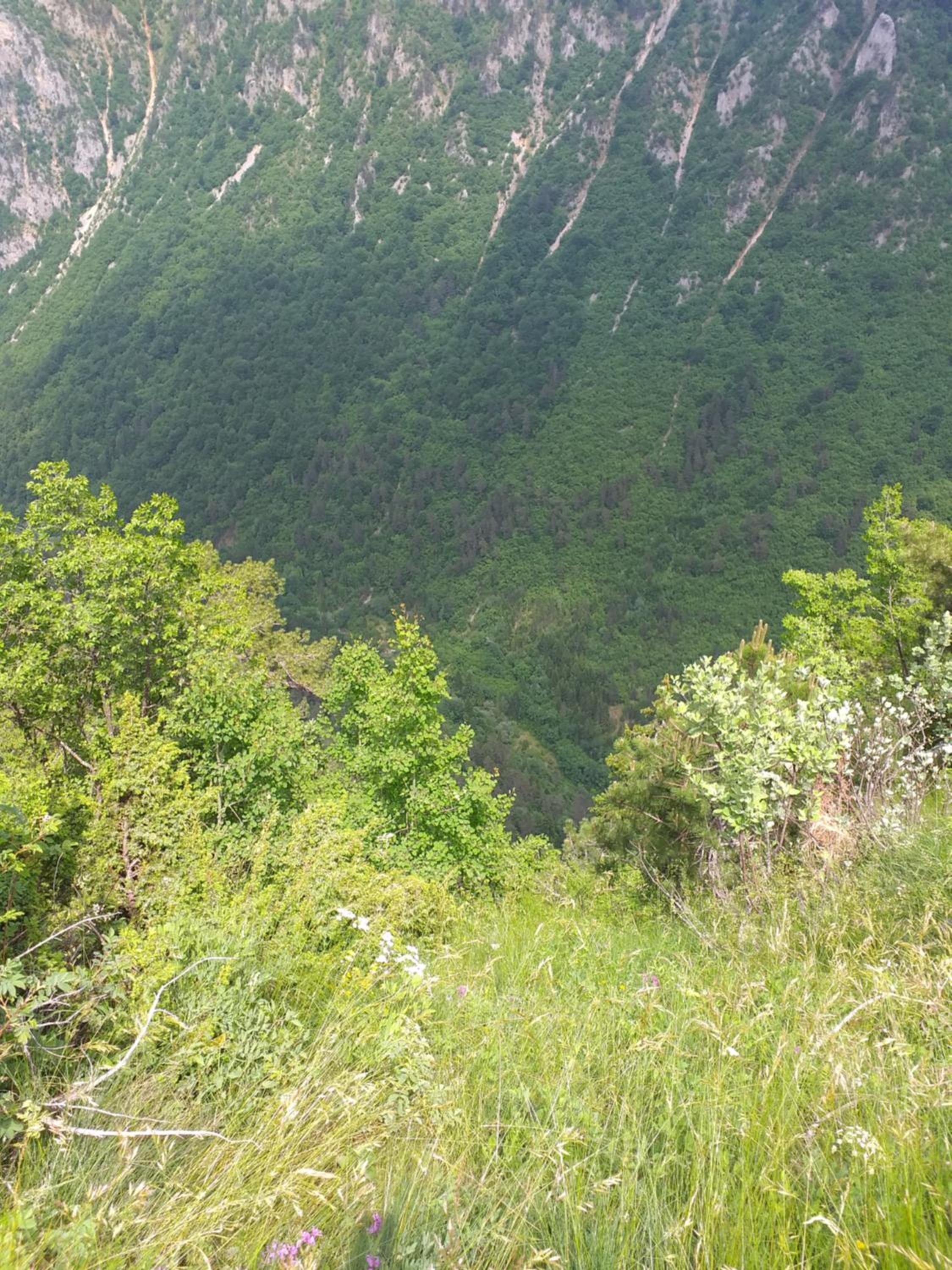 Apartman Kurjak