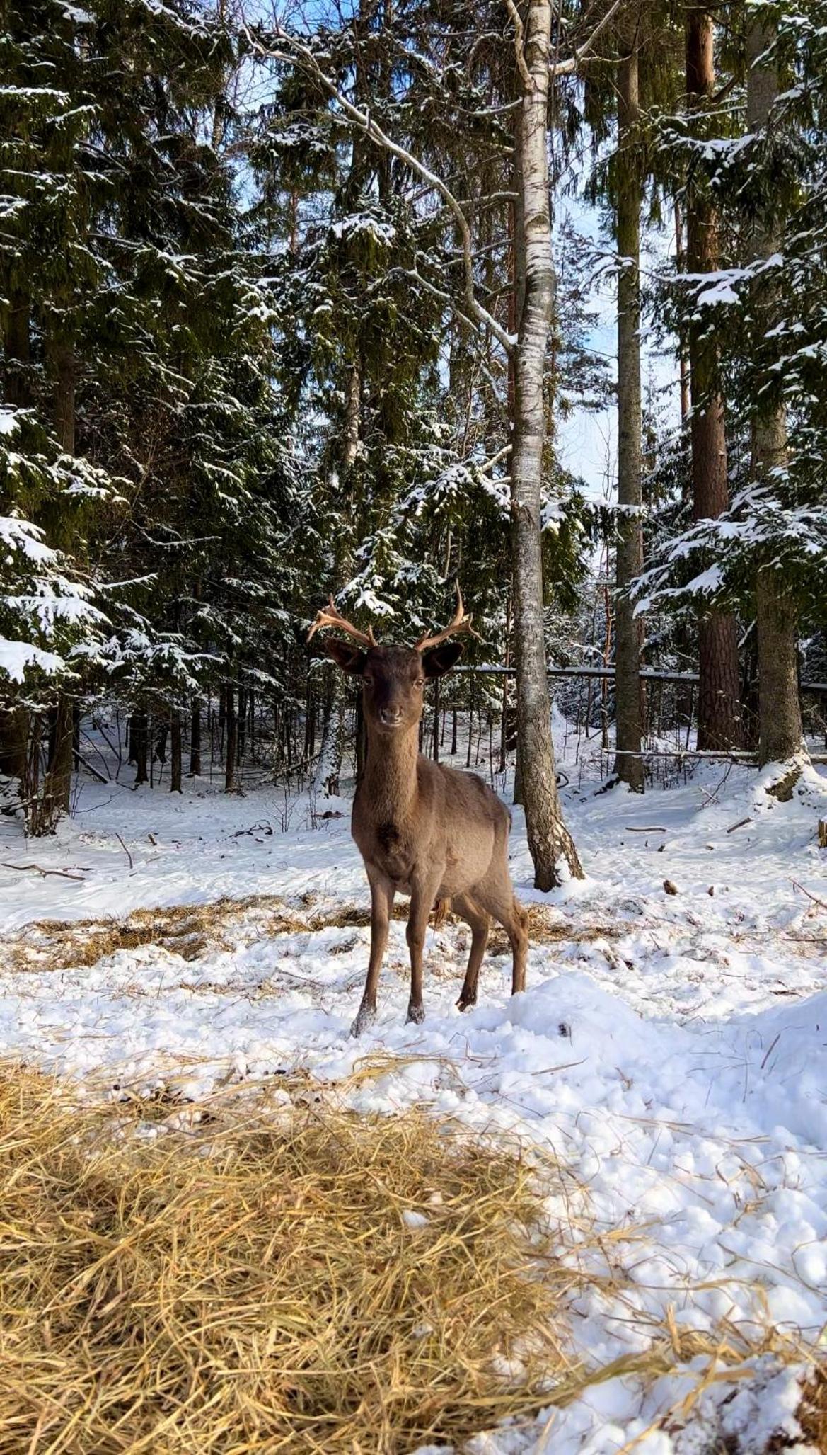 Pilskalni