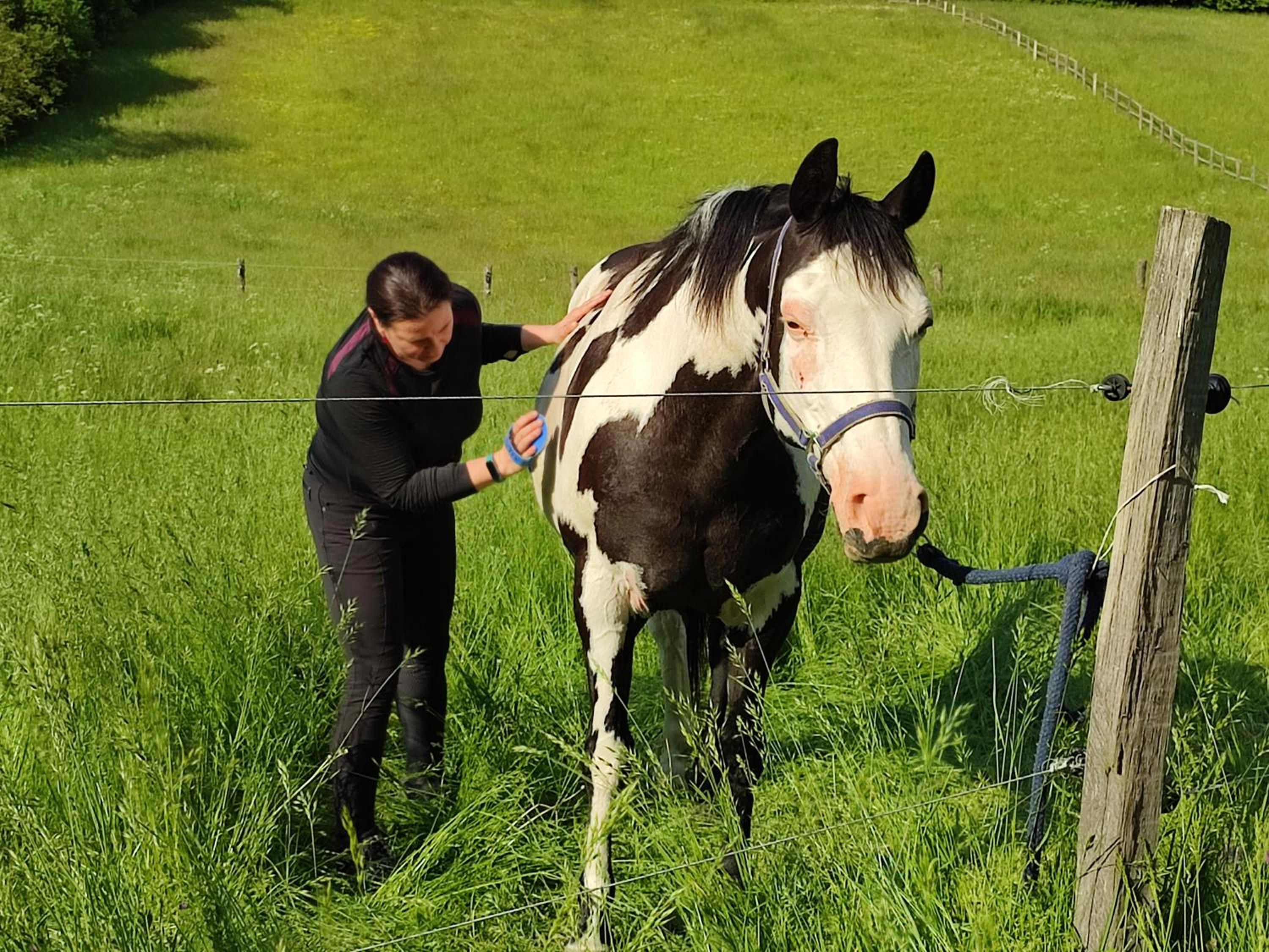 Stodola Svatý Štěpán