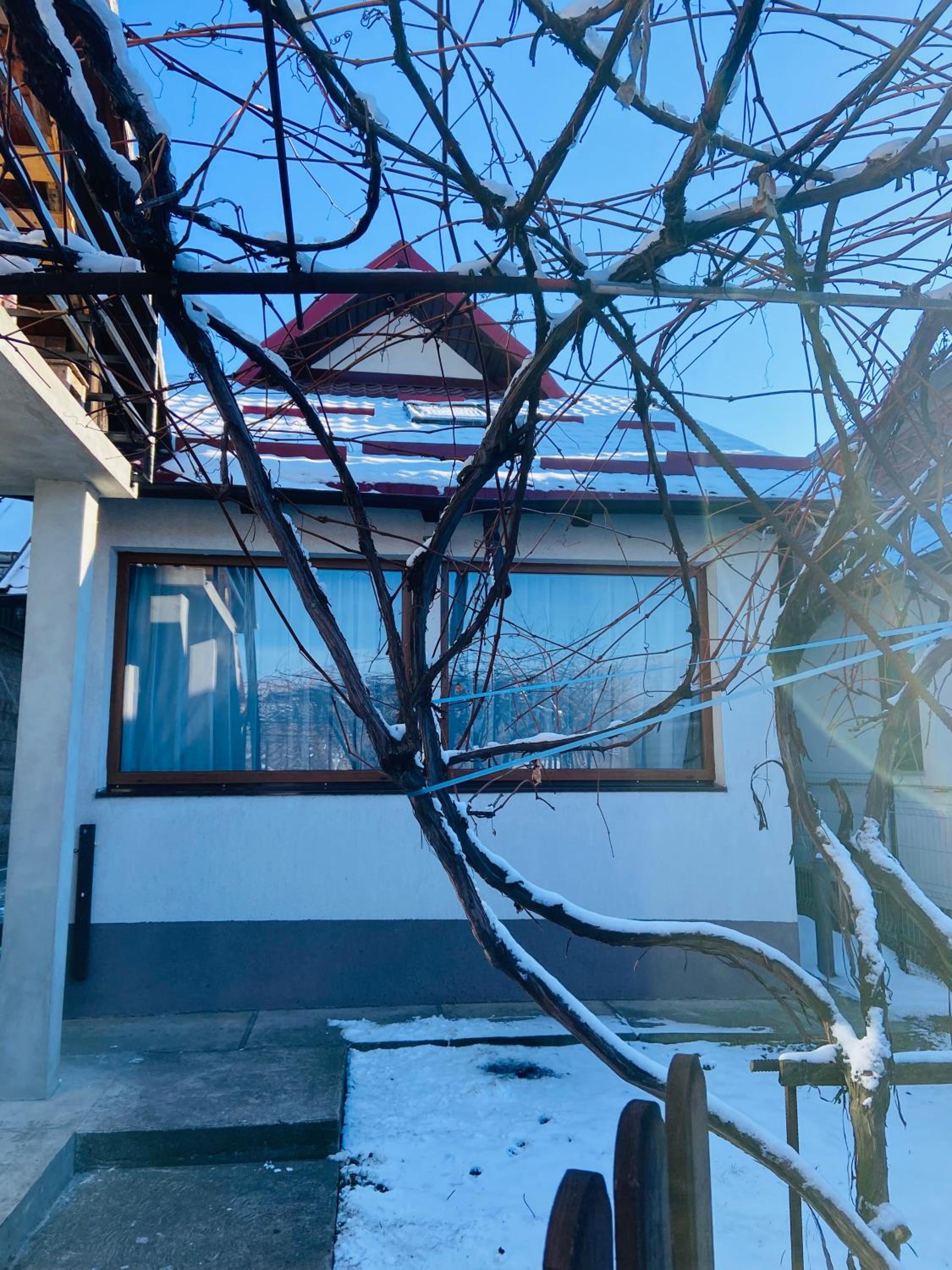 Casa Cataleya, photo 68