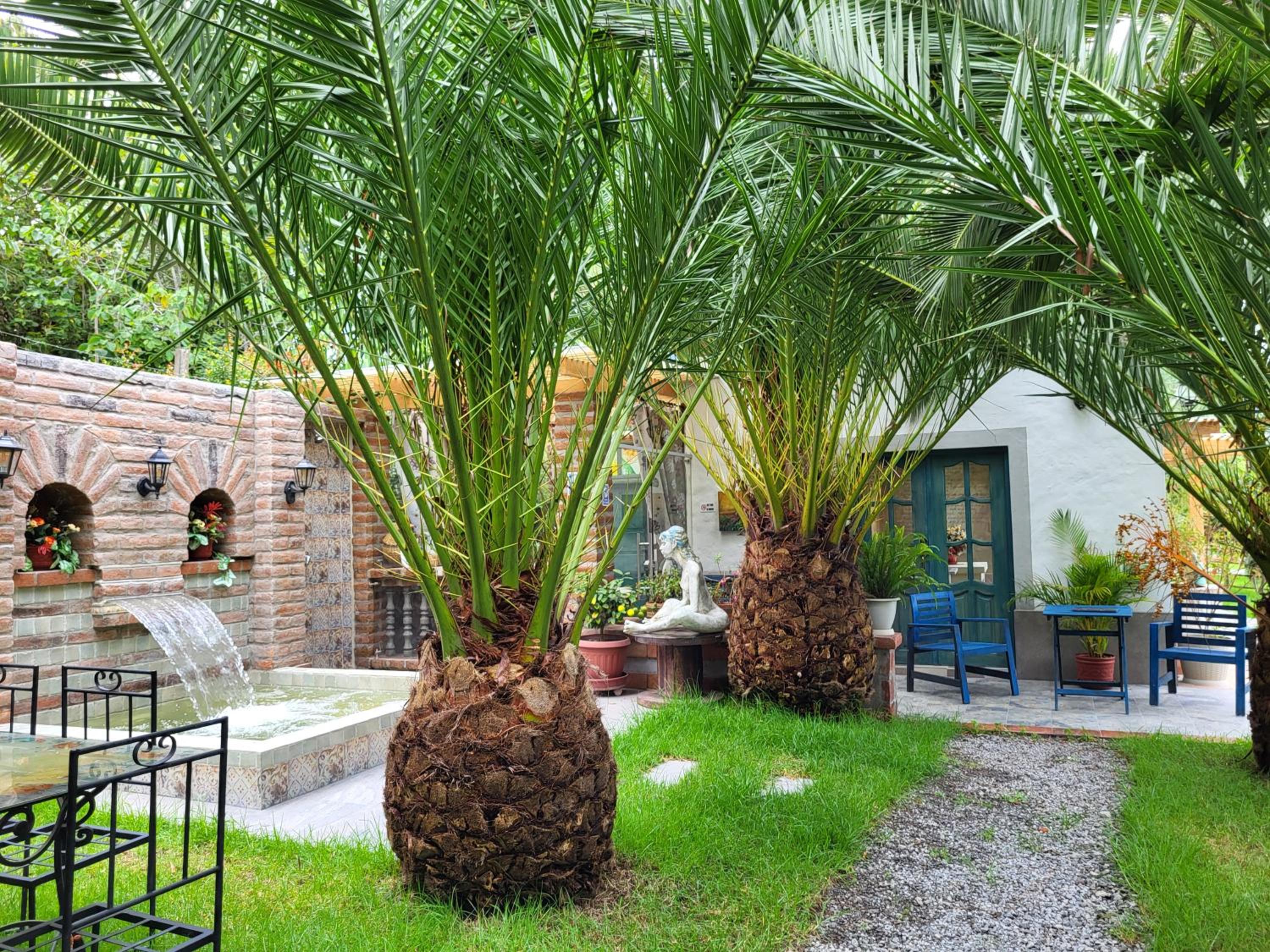 Quinta Paolita