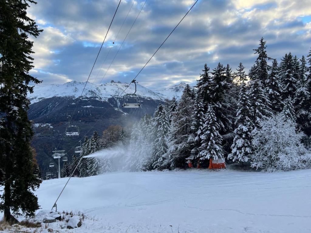 Cosy studio for 4 near ski lift, HAMEAU C13