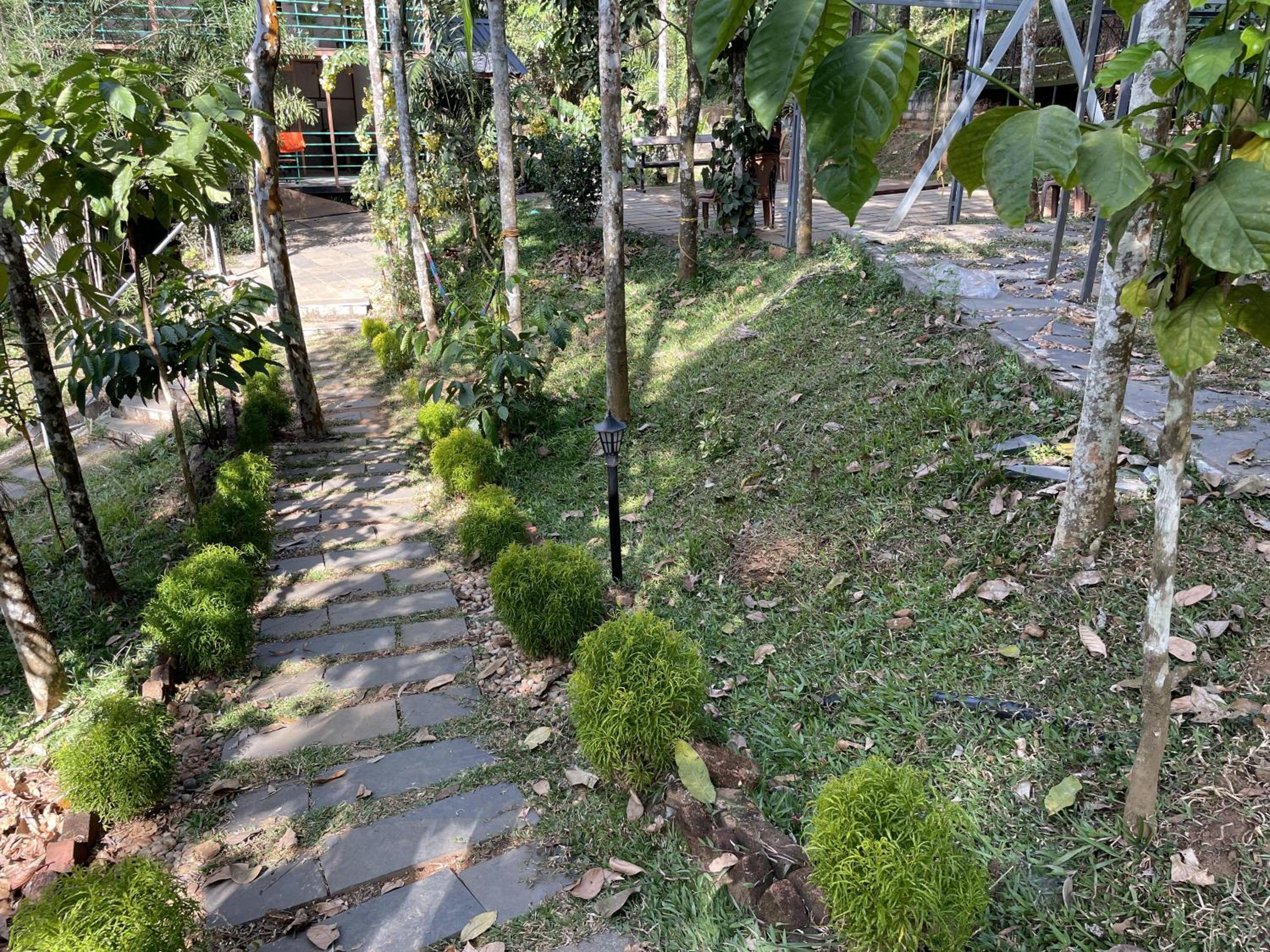 Photo 24