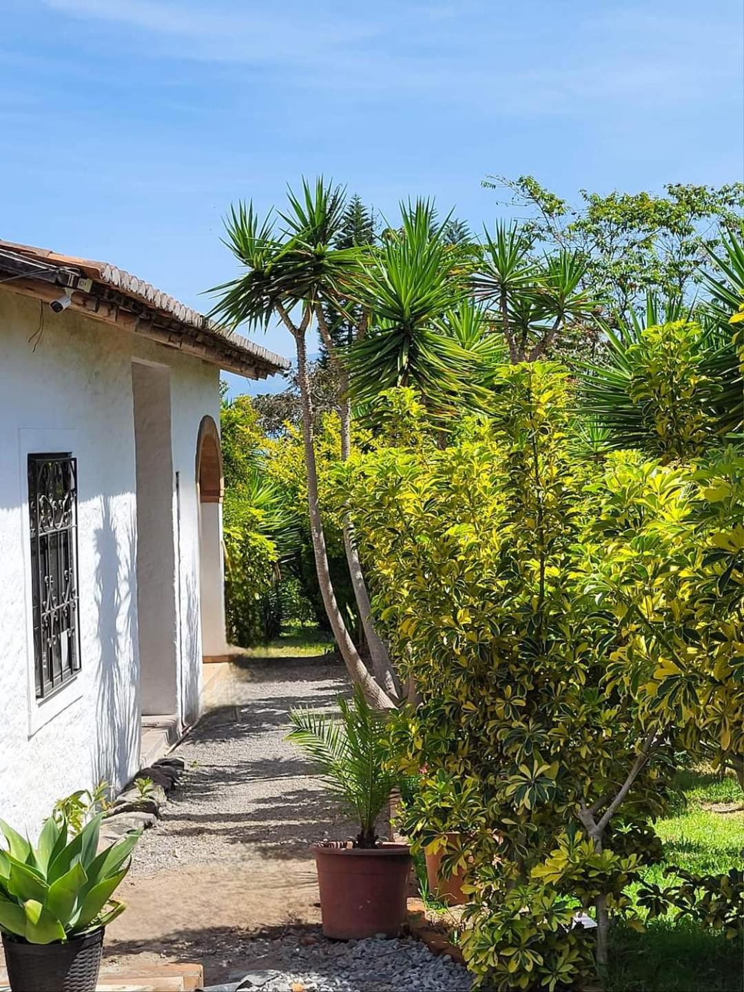 Quinta Paolita