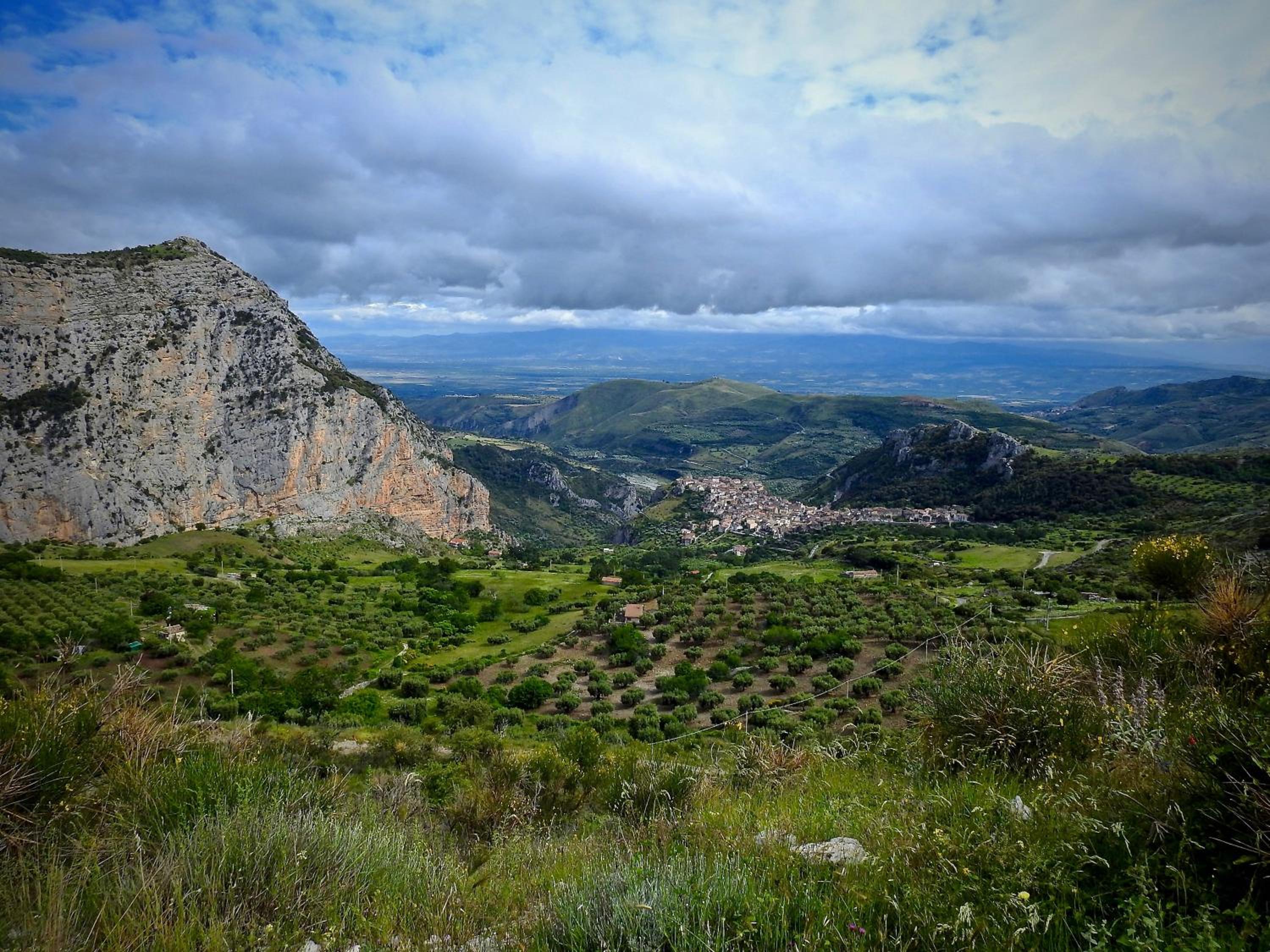 Photo 43