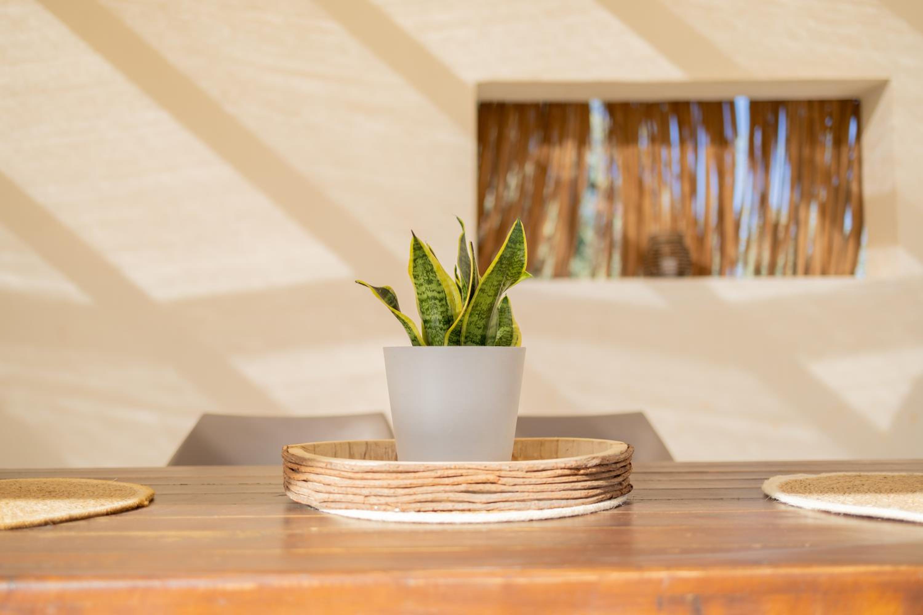 Villa Aetheria photo 4