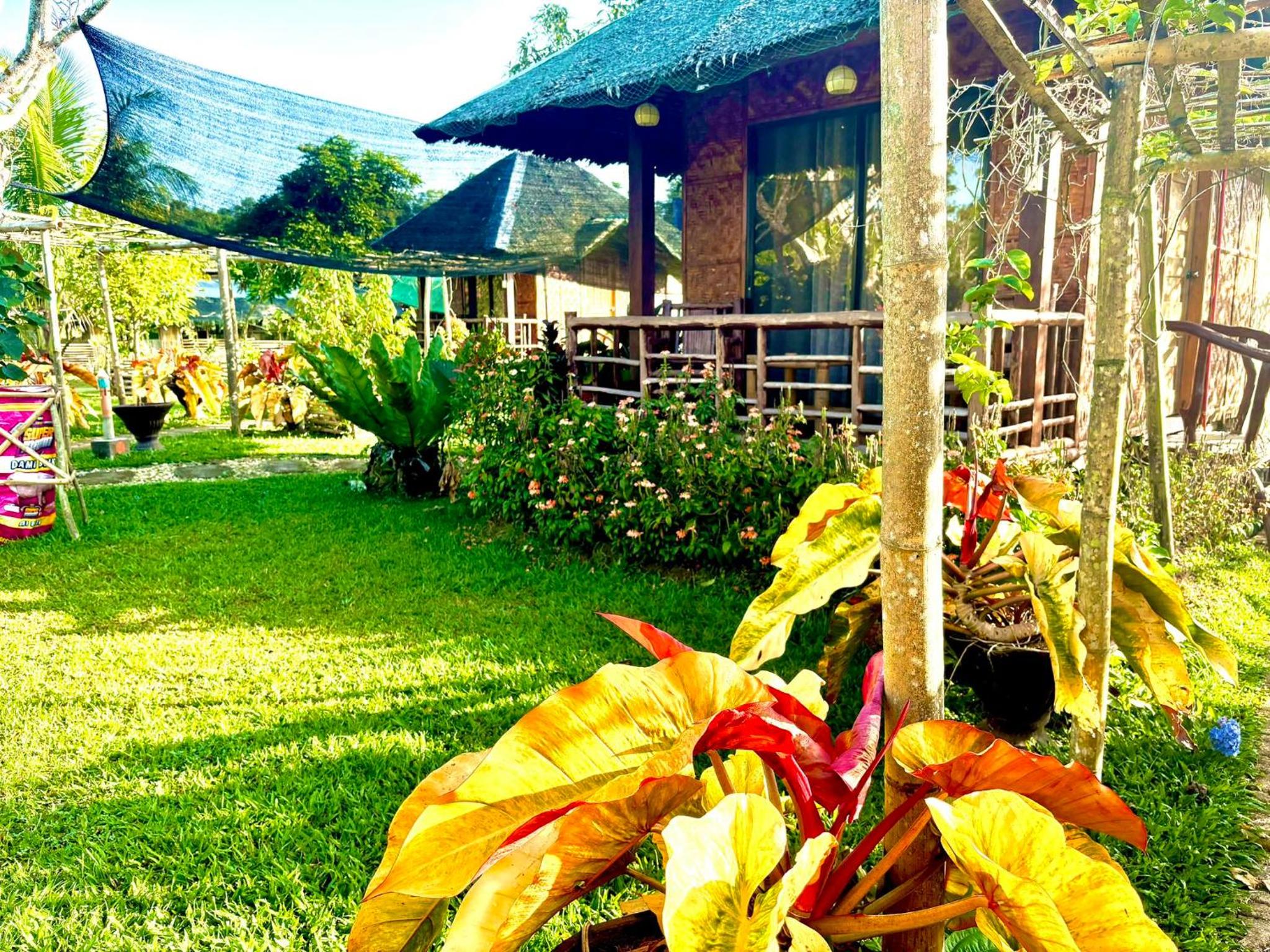Camelo Farm view 2