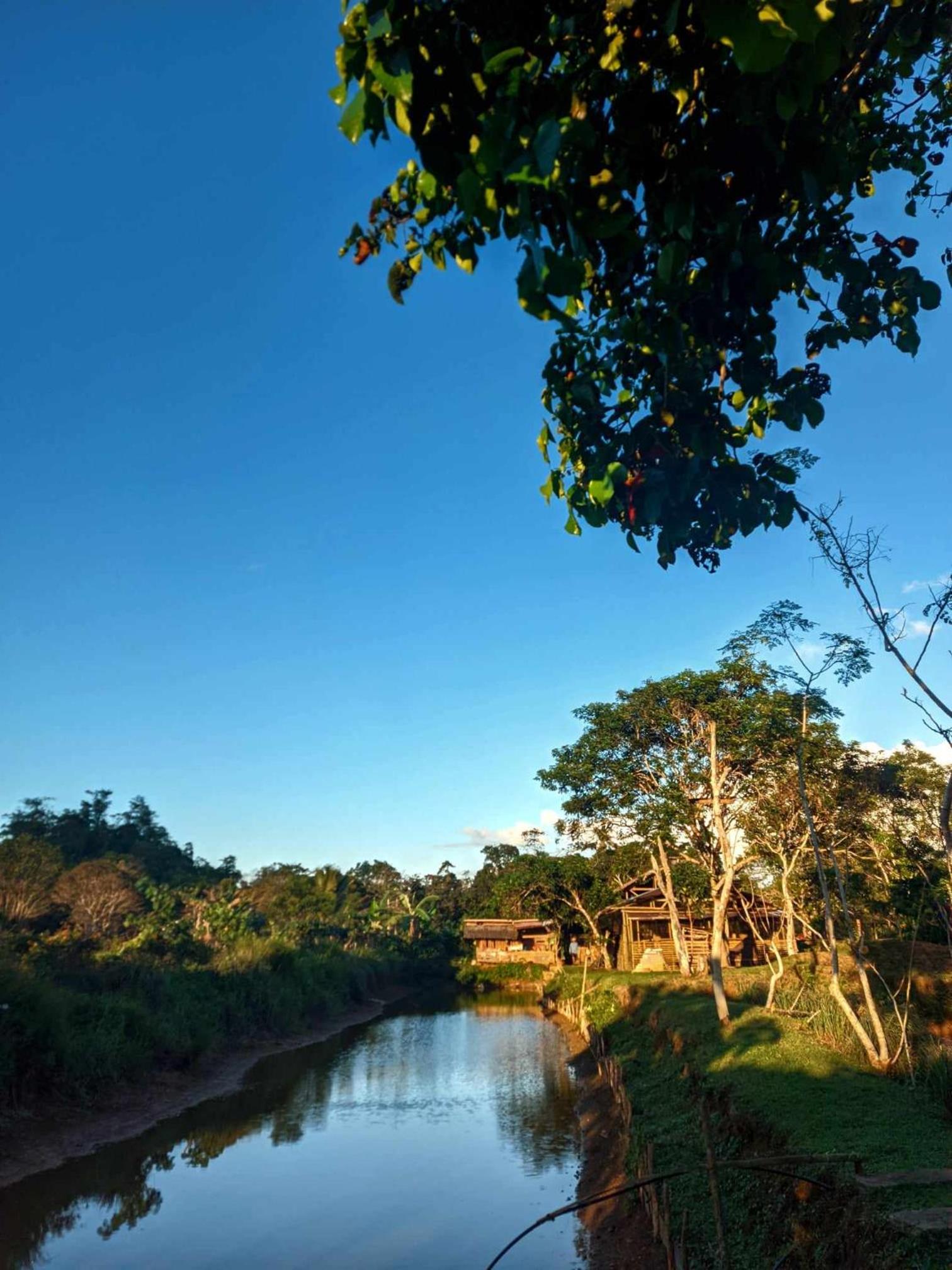 Camelo Farm view 3