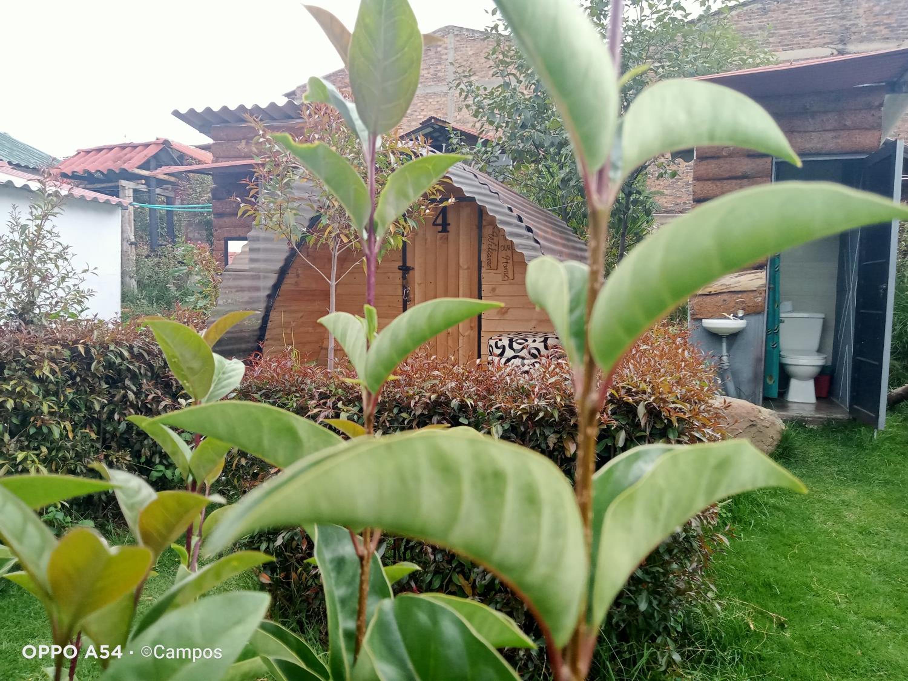 CASA BAHAREQUE HOSPEDAJE