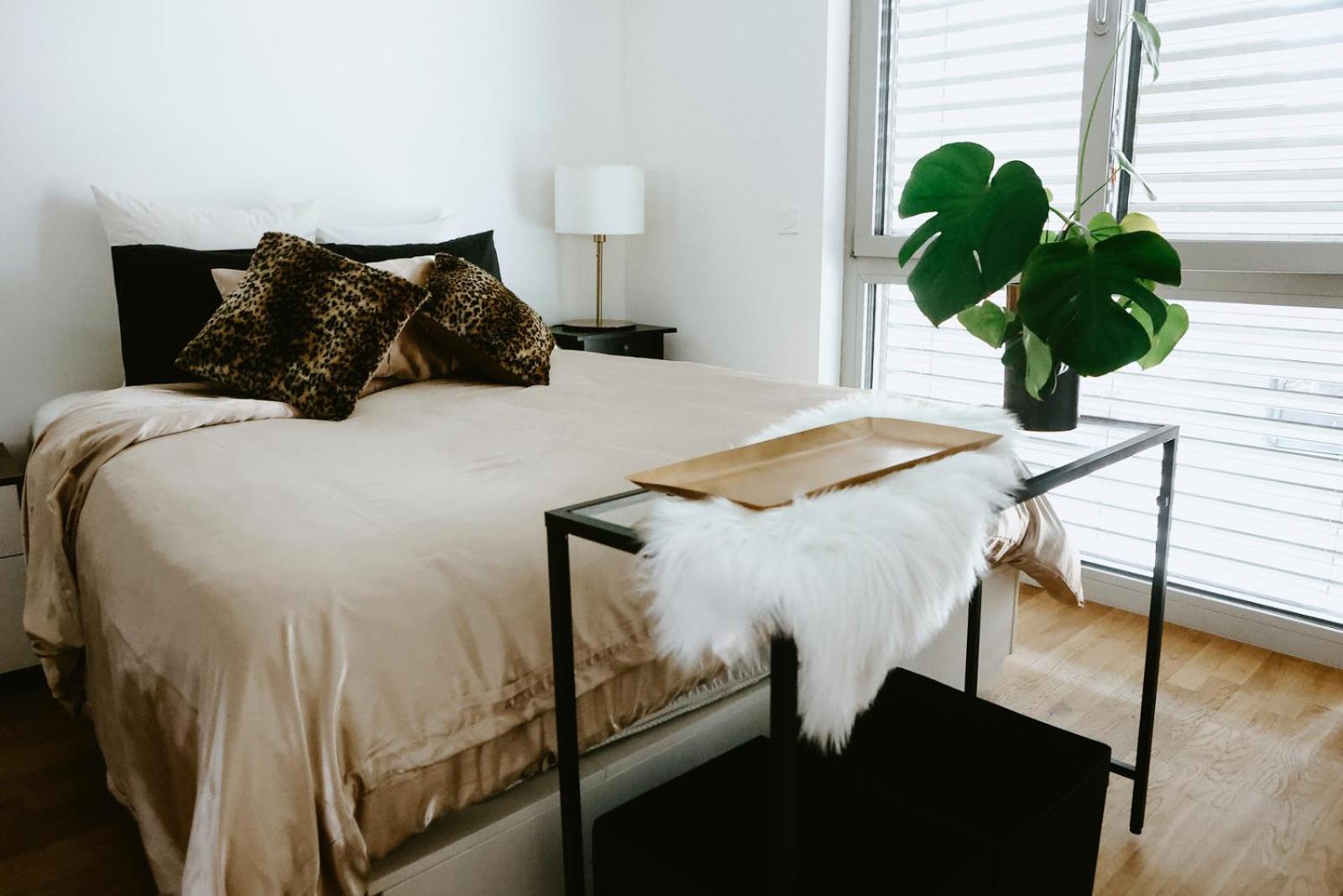 Your Stylish Oasis in Zurich