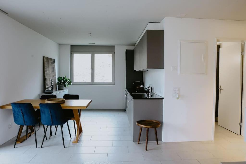 Your Stylish Oasis in Zurich