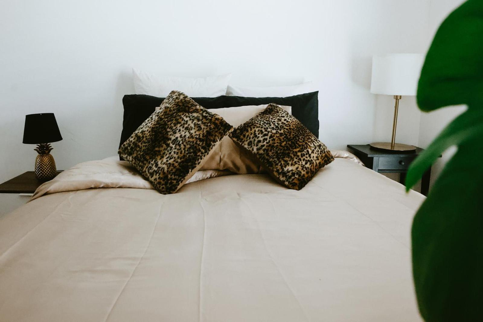 Your Stylish Oasis in Zurich