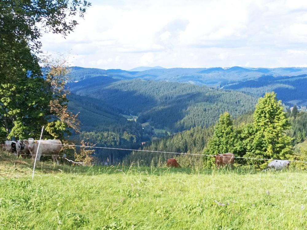 chaloupka Karolinka