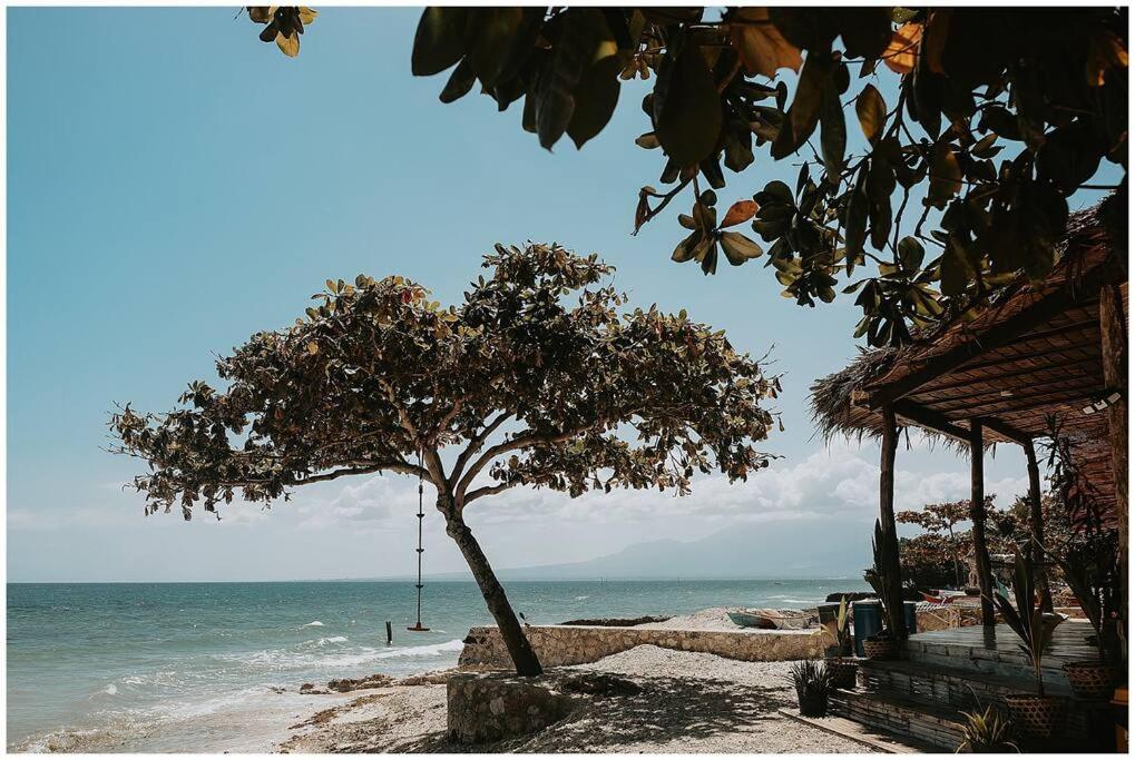 Casita Curbada by Hooga Home Oslob South Cebu