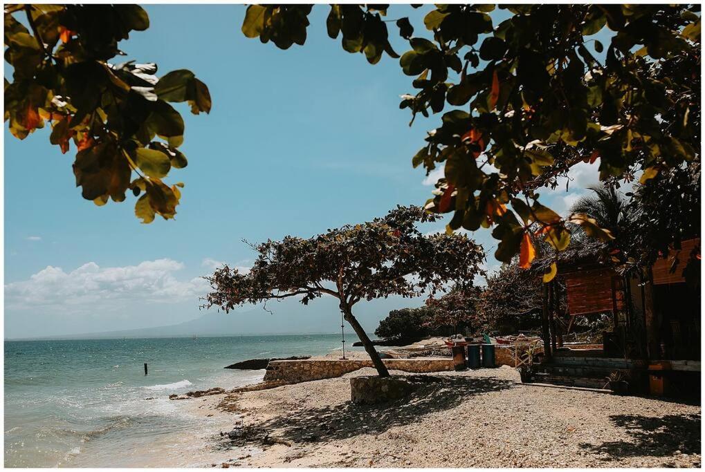 Casita Curbada by Hooga Home Oslob South Cebu