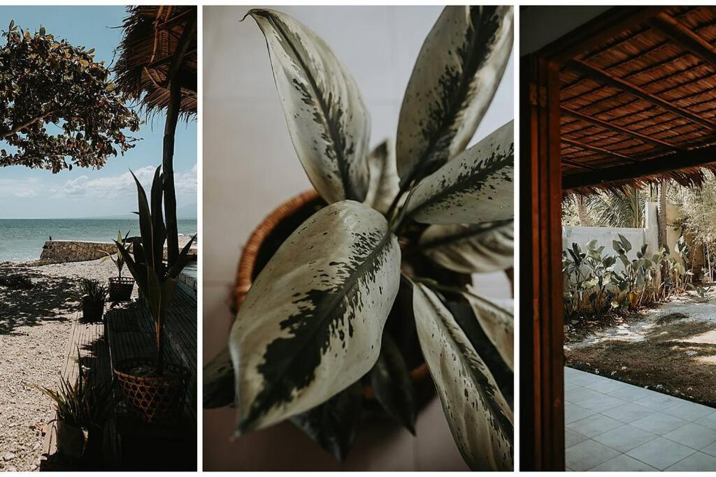 Casita Curbada by Hooga Home Oslob South Cebu