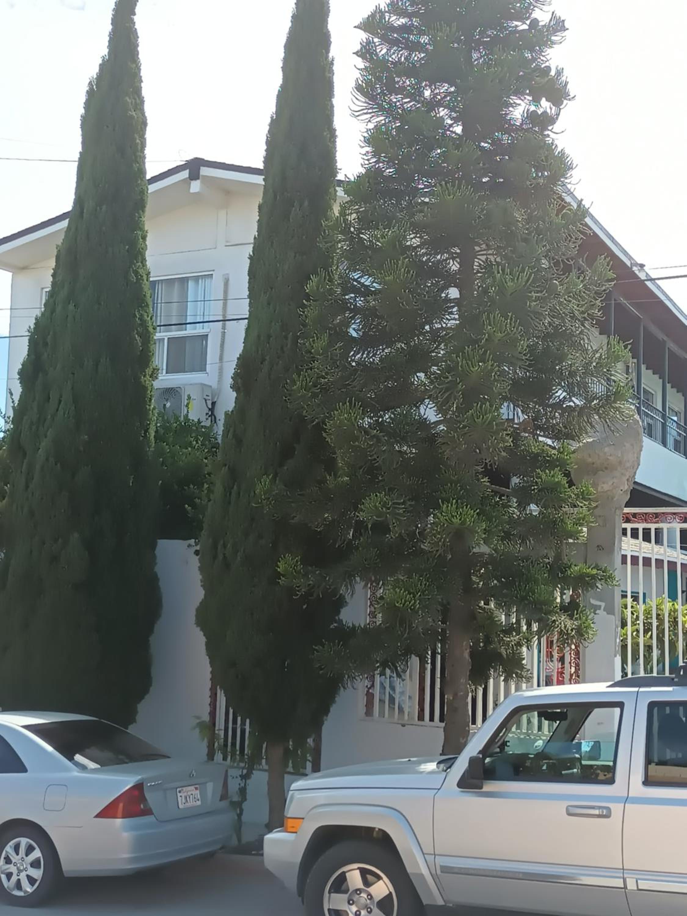 Hotel Apartamentos Rosarito.!! Con Vista al Mar ! - Image 1