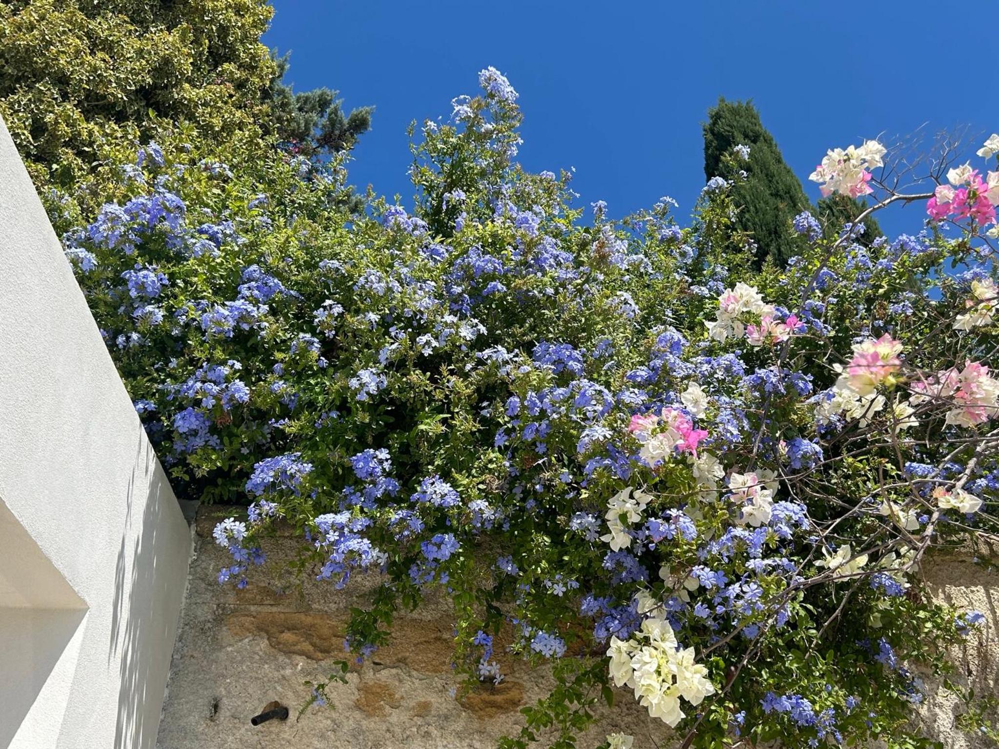 Casa Corimè en Partanna — other