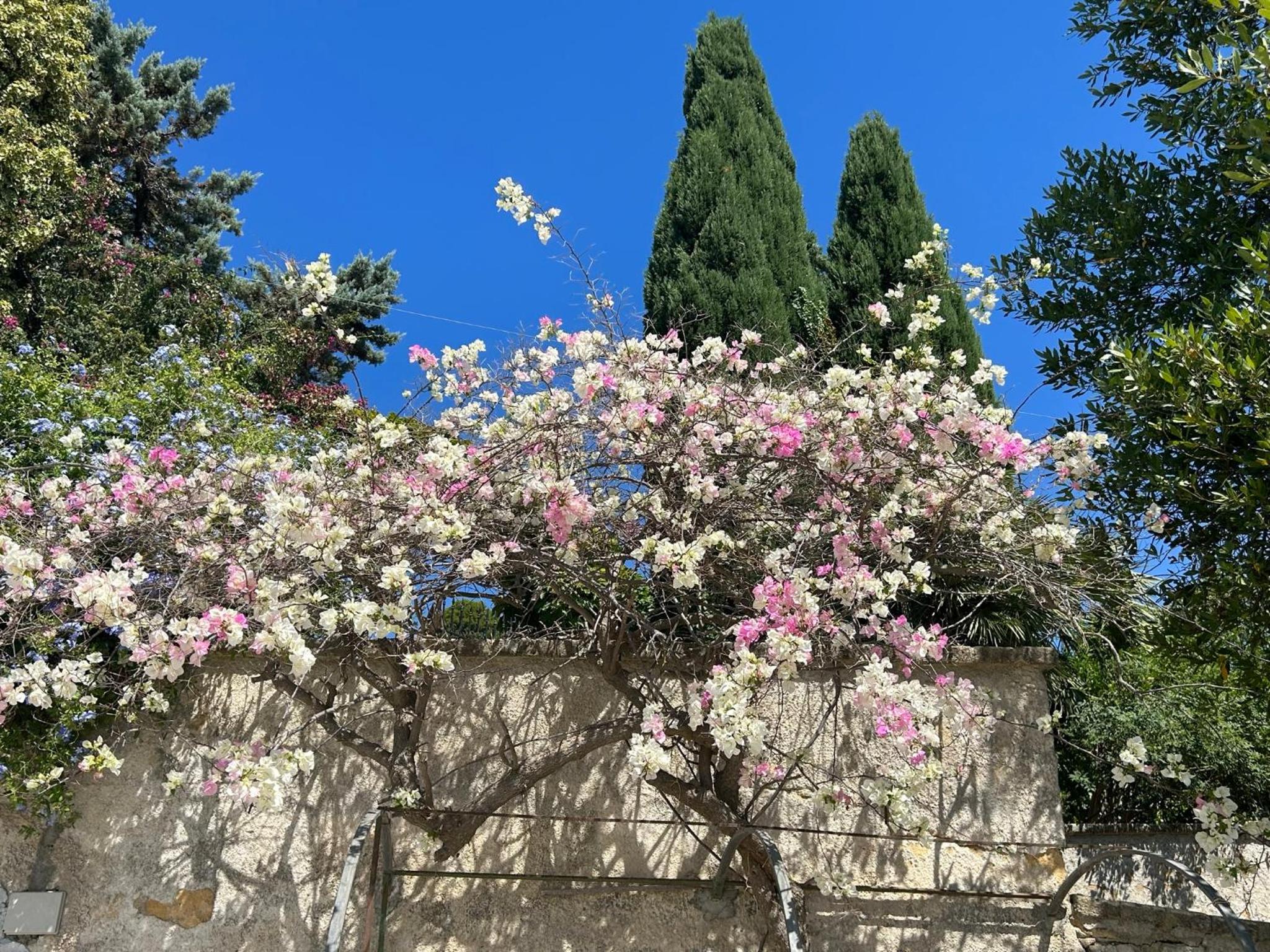 Casa Corimè en Partanna — other