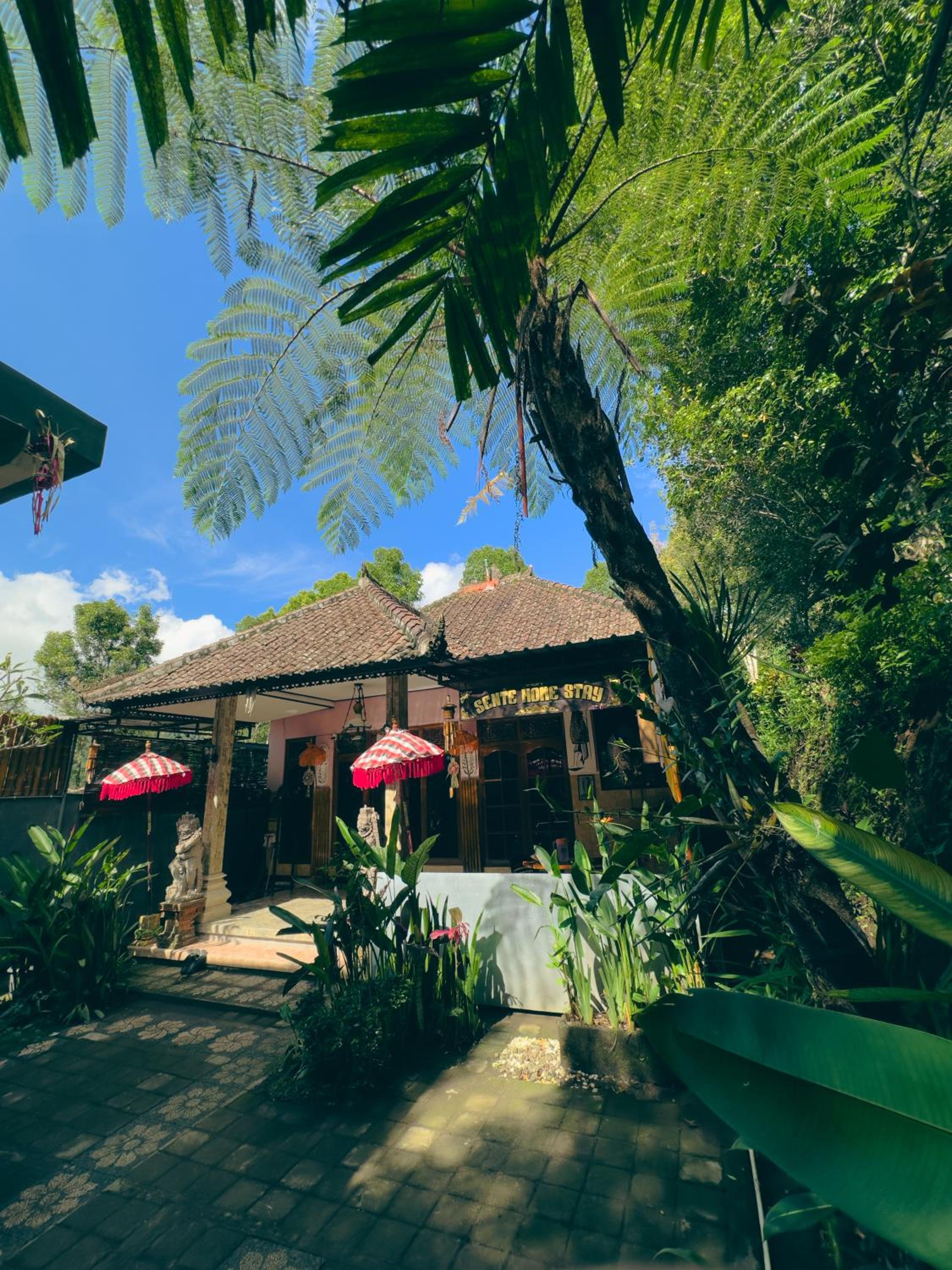 Homestay Sente