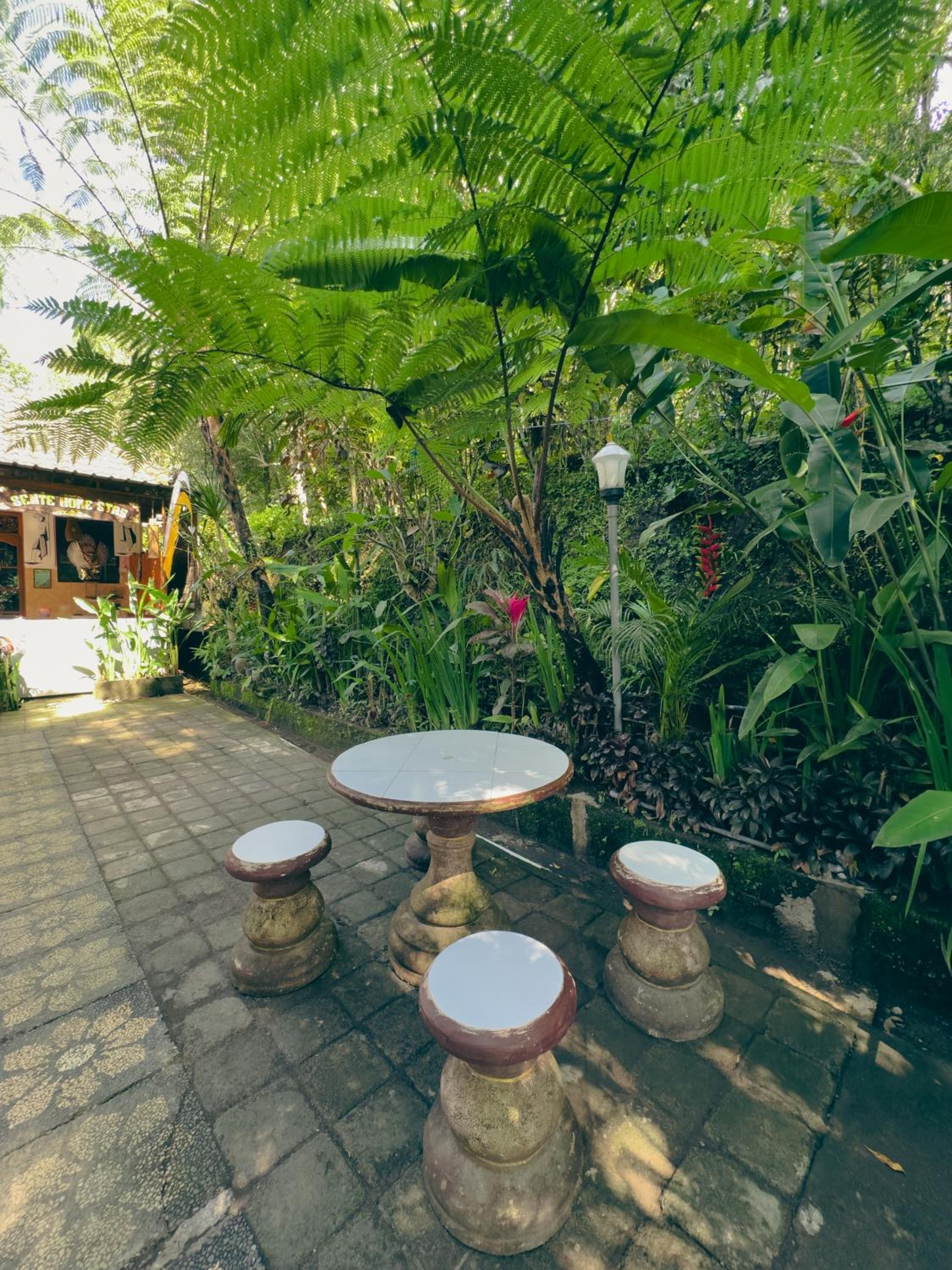 Homestay Sente