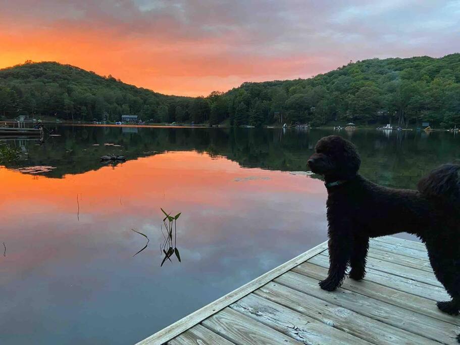 Kayaks Fishing Petfriendly -LaBellaVista Lakehouse