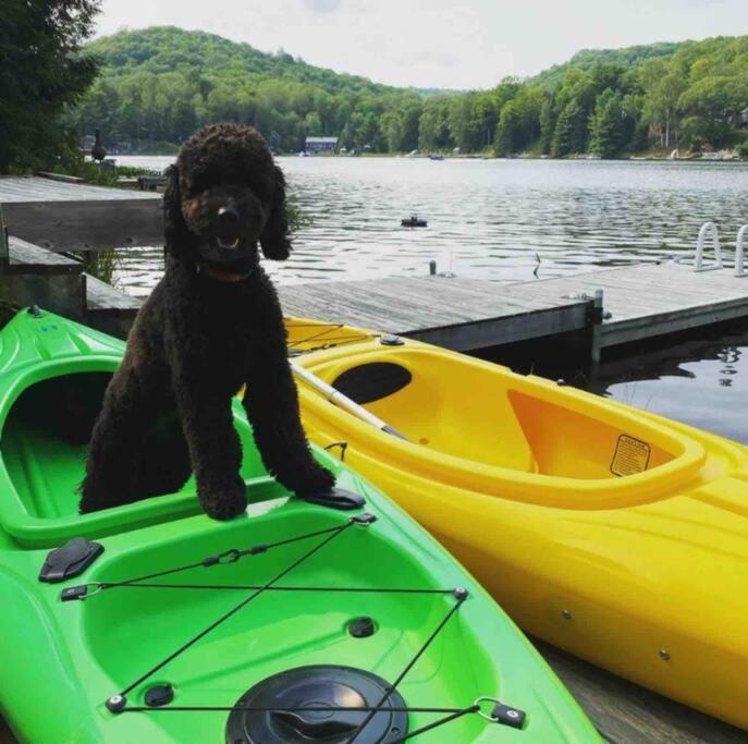 Kayaks Fishing Petfriendly -LaBellaVista Lakehouse
