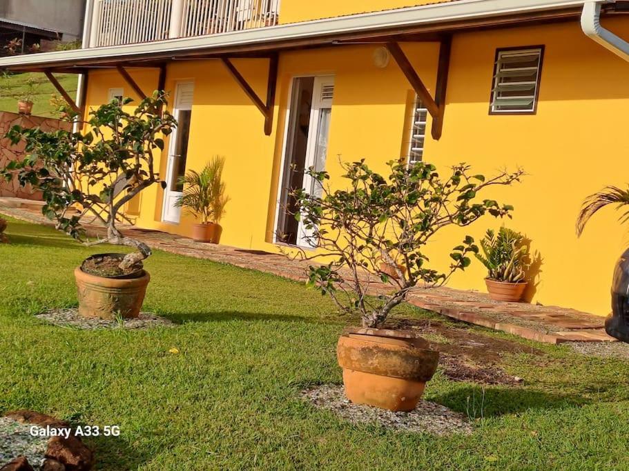 appartement entier en Martinique Le Khan view 5