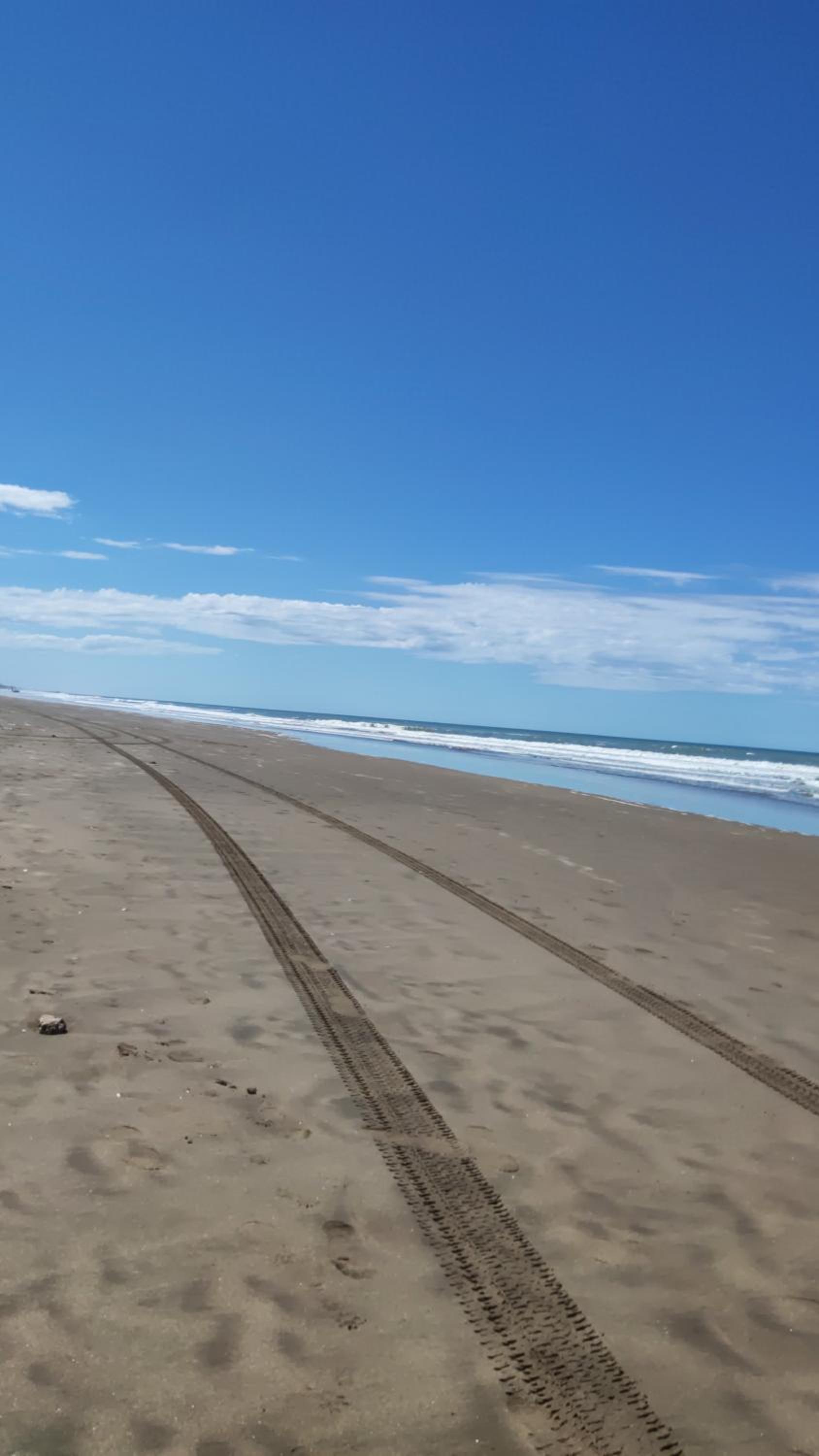 Alquimia Qi del Mar