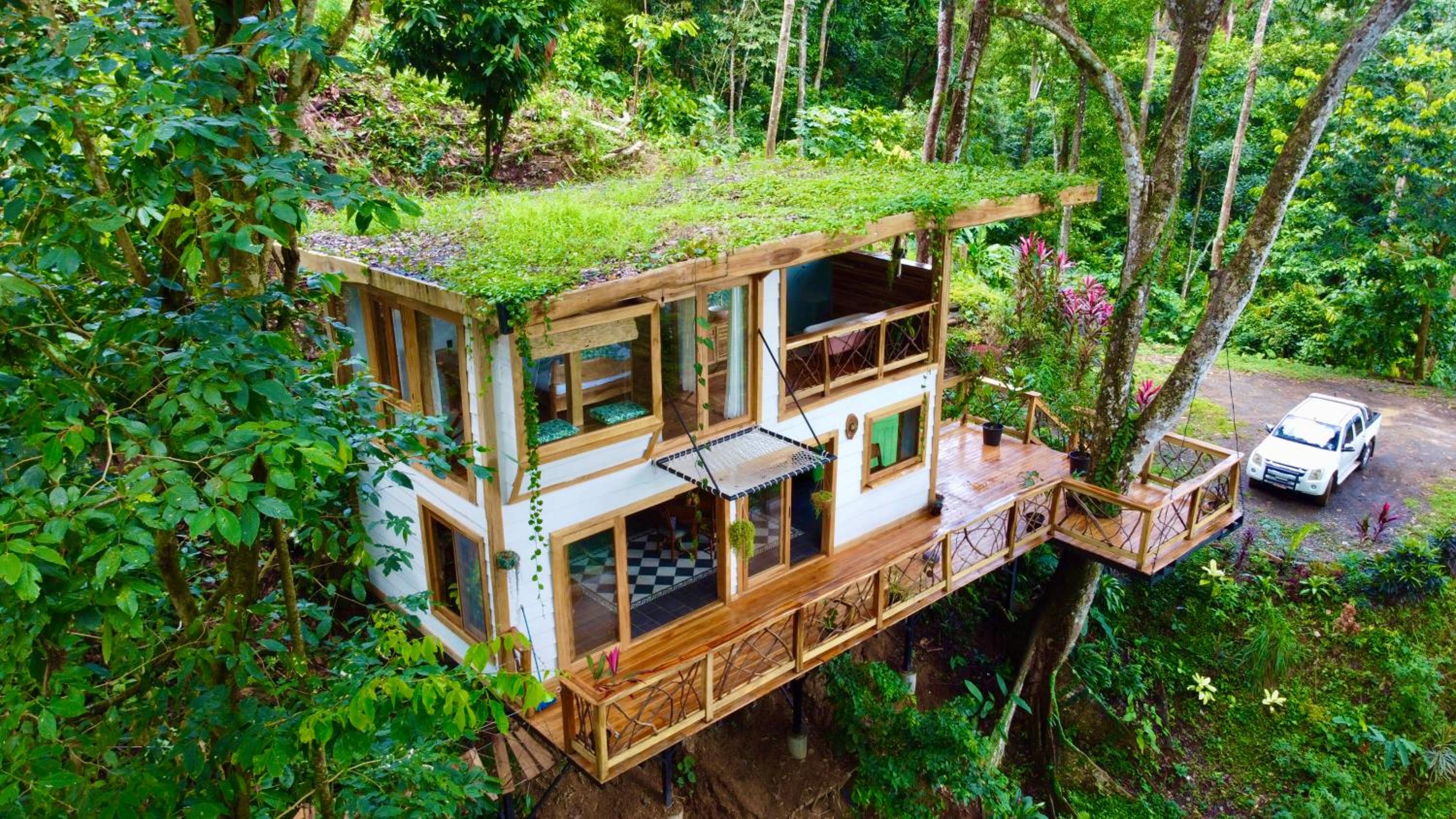 Jungle Spirit Treehouse