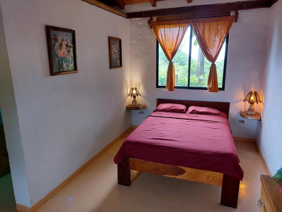 Casa Ariana, Acepto Mascota