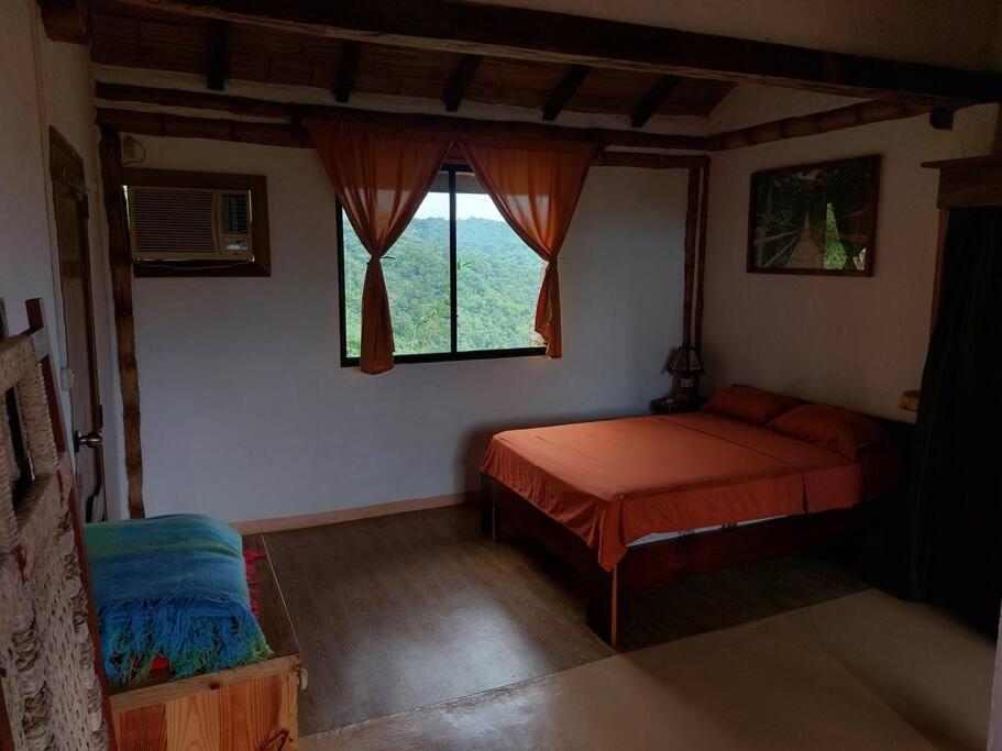 Casa Ariana, Acepto Mascota