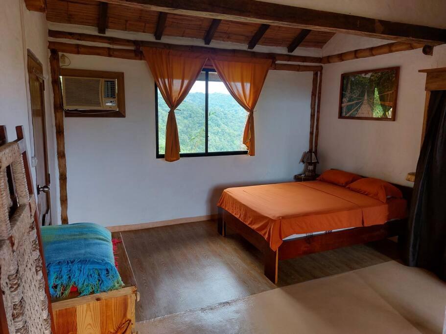 Casa Ariana, Acepto Mascota