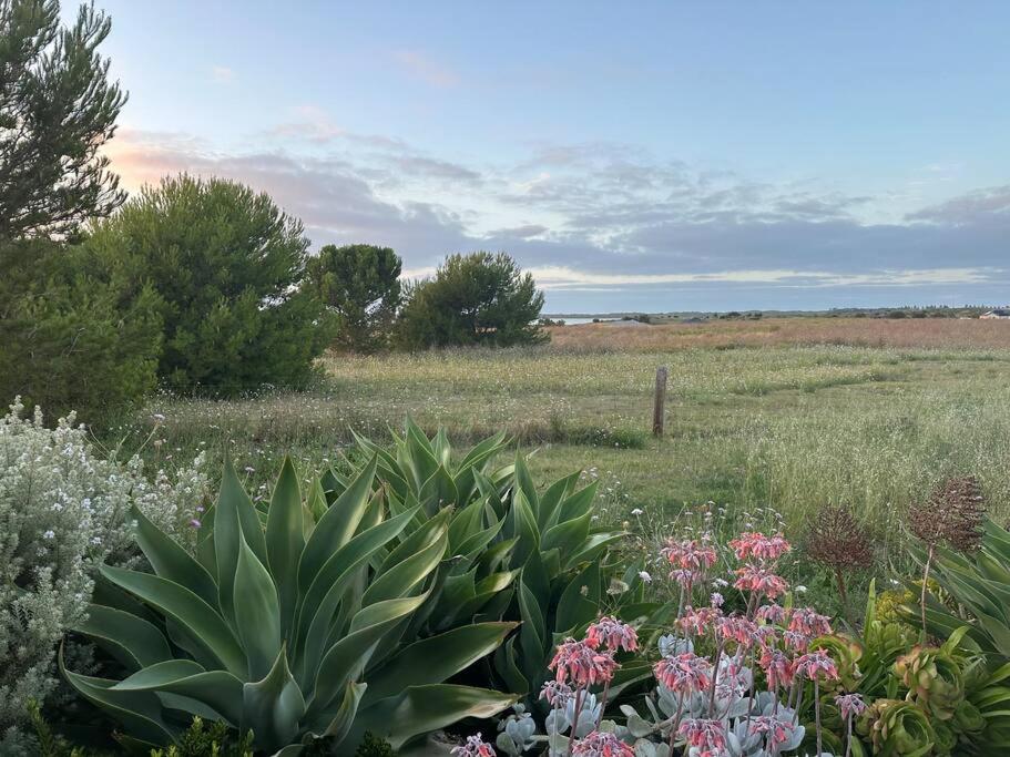 other