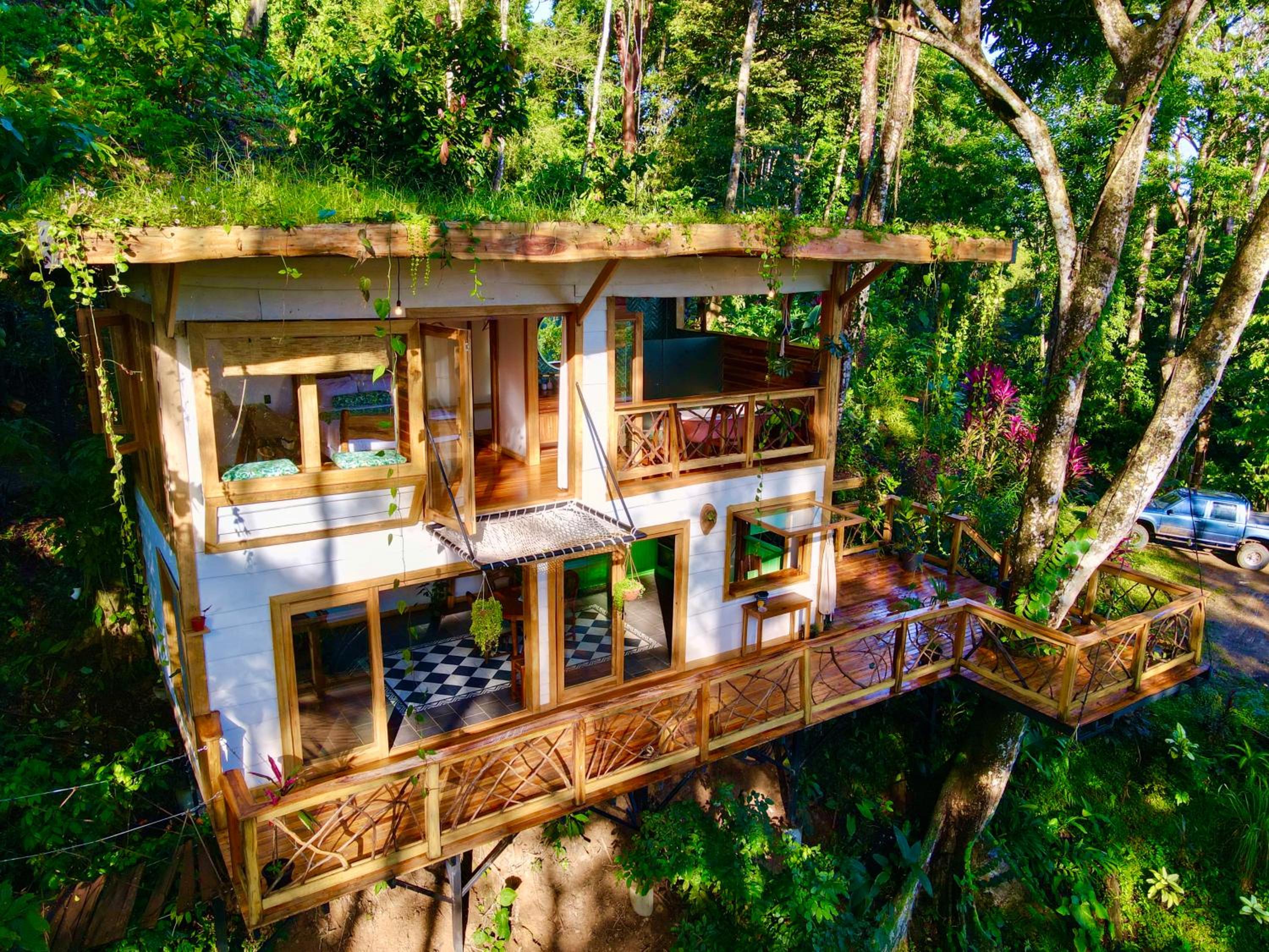 Jungle Spirit Treehouse