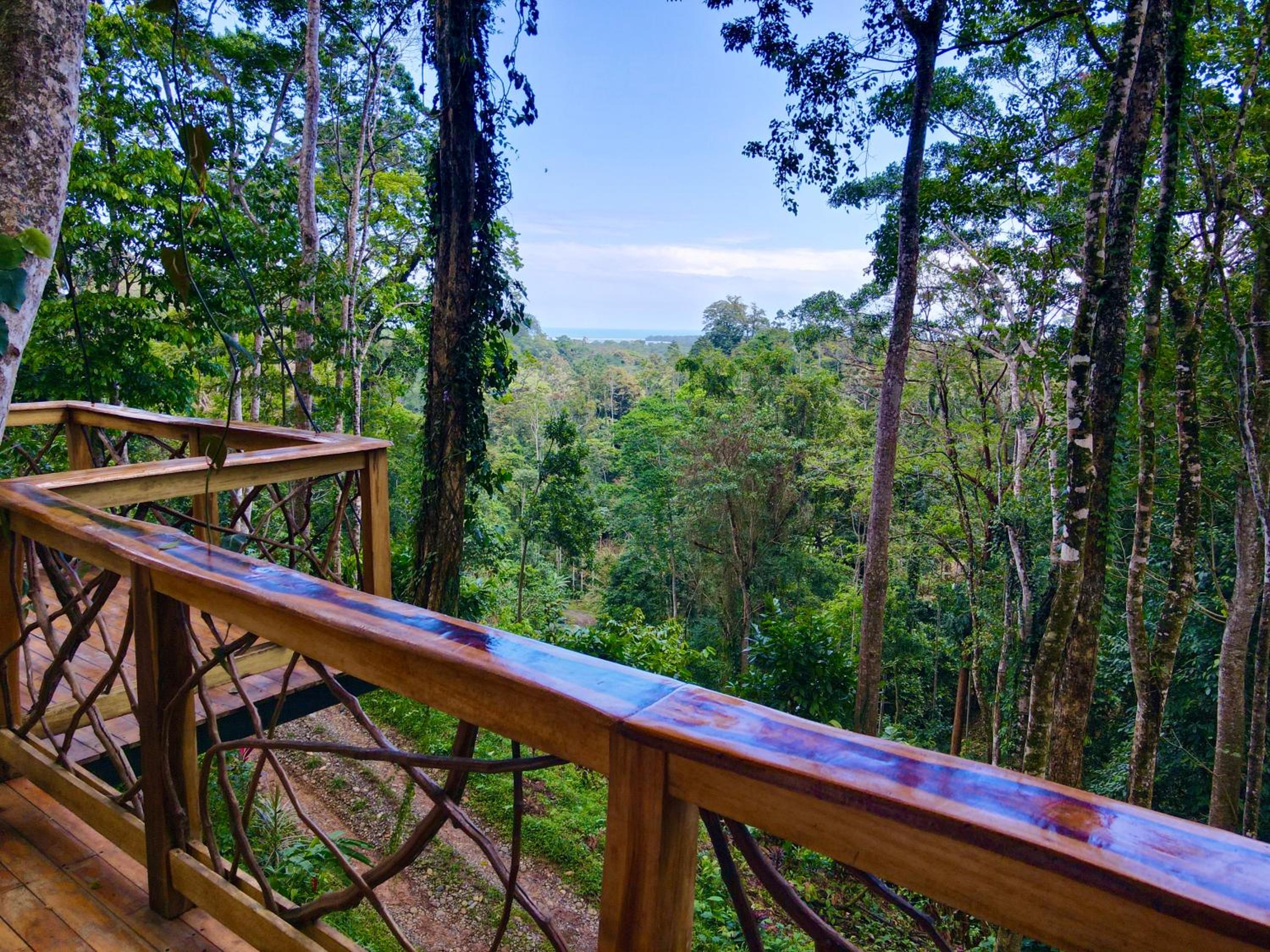 Jungle Spirit Treehouse