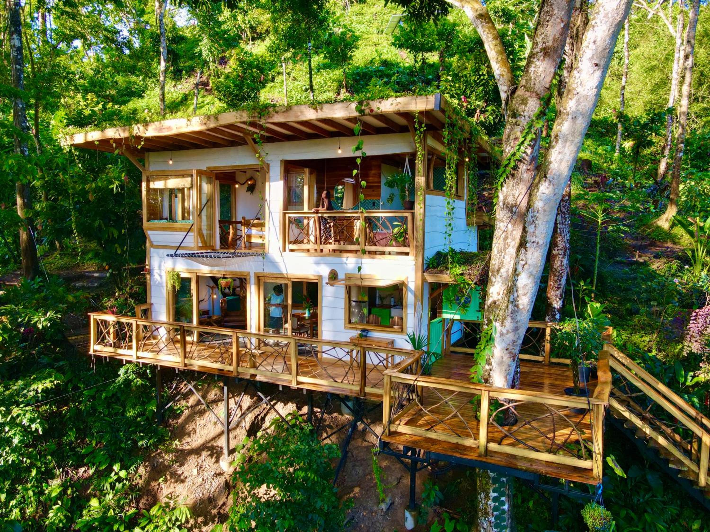 Jungle Spirit Treehouse