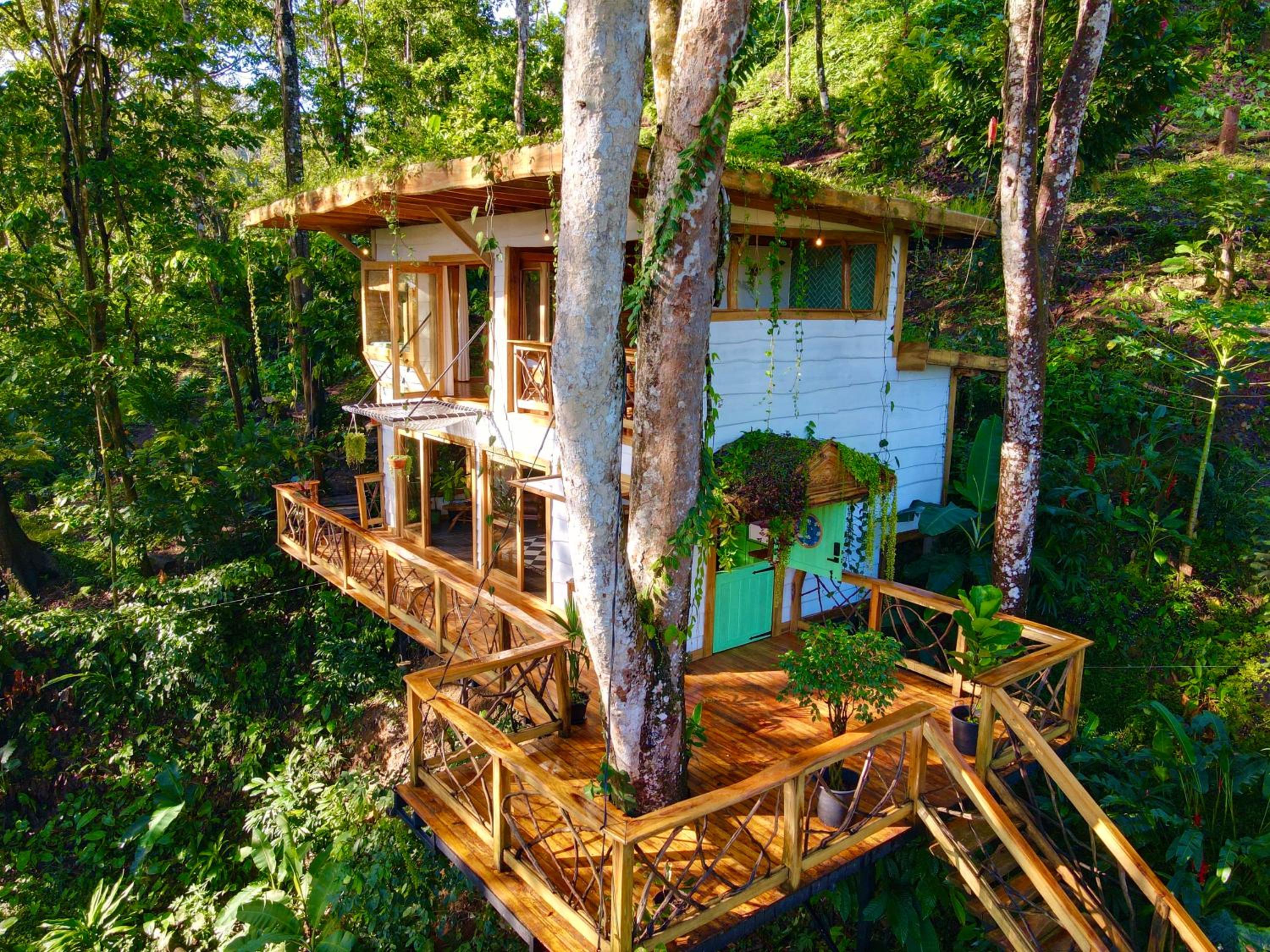 Jungle Spirit Treehouse