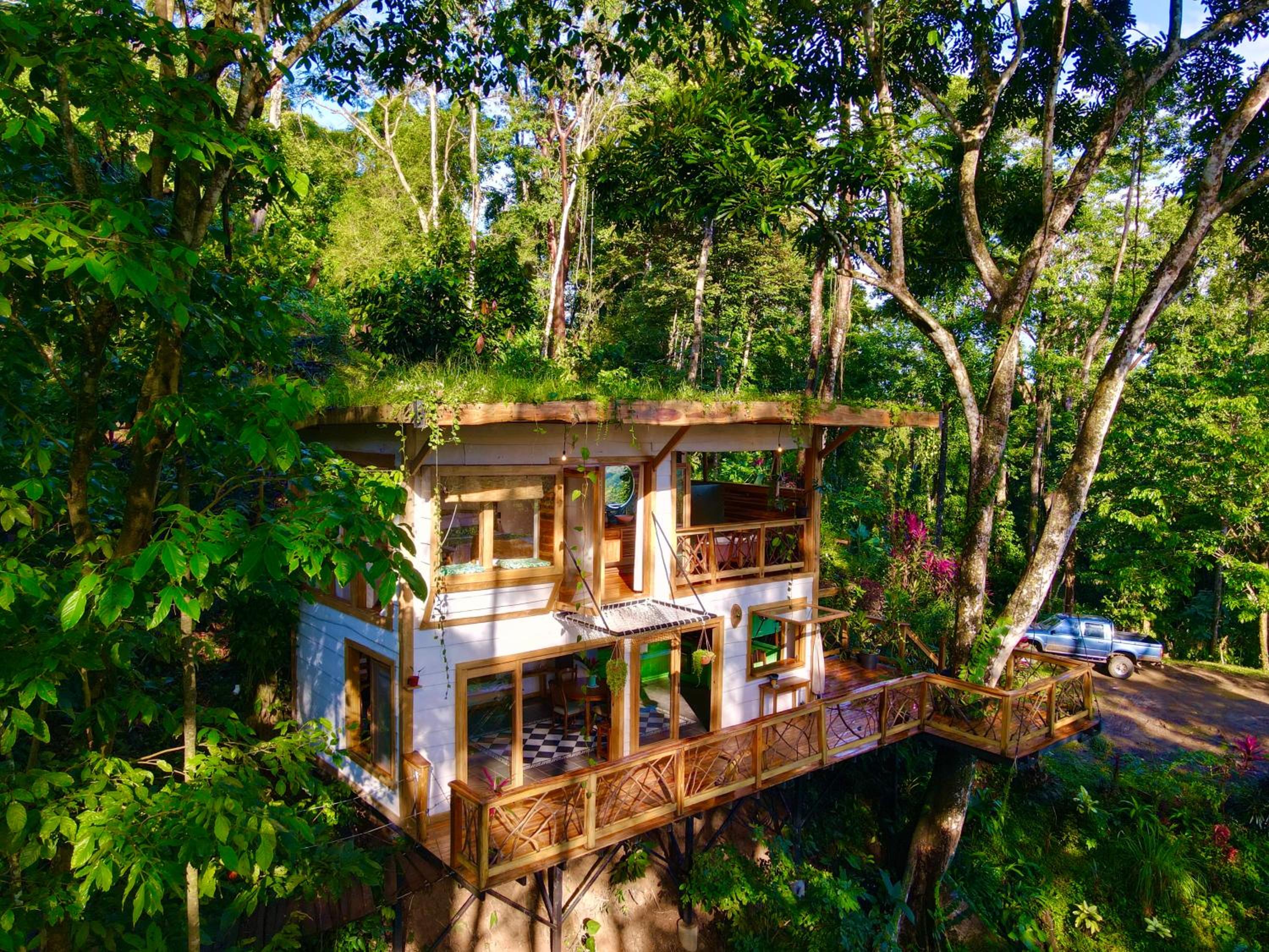 Jungle Spirit Treehouse