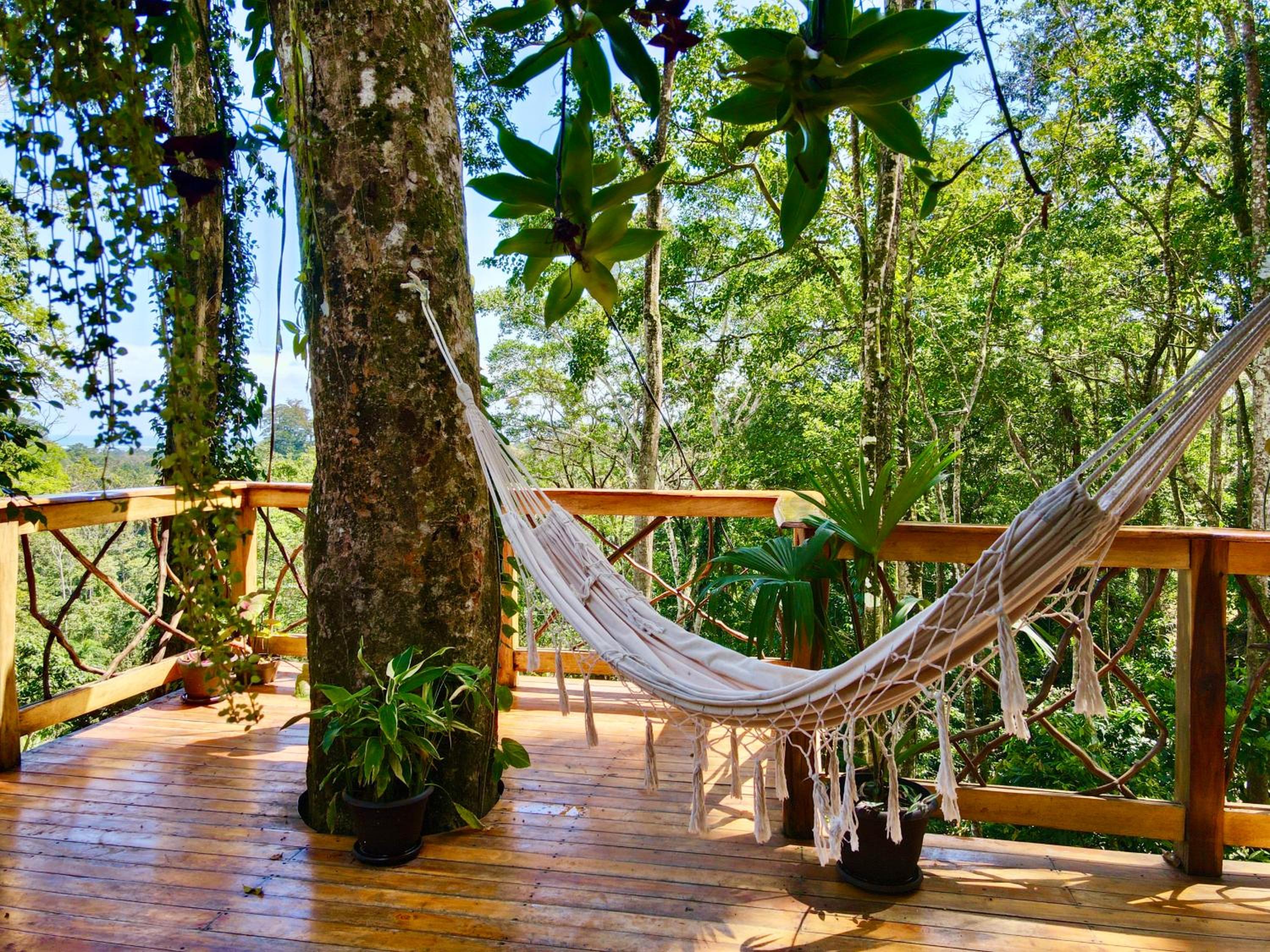 Jungle Spirit Treehouse